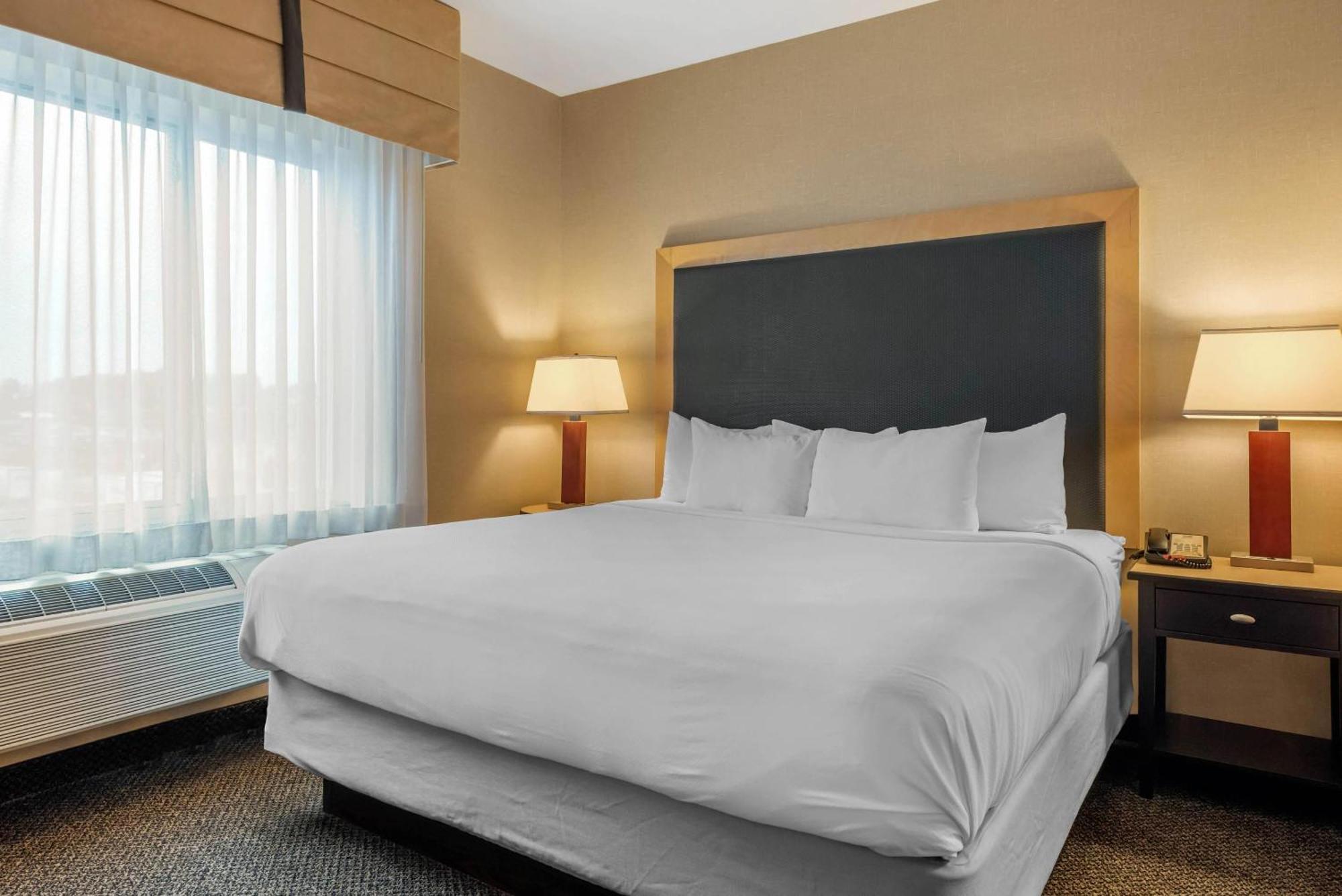 King Suite with Sofa Bed - Non-Smoking