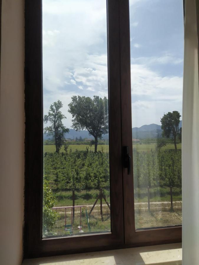King Room Garden View