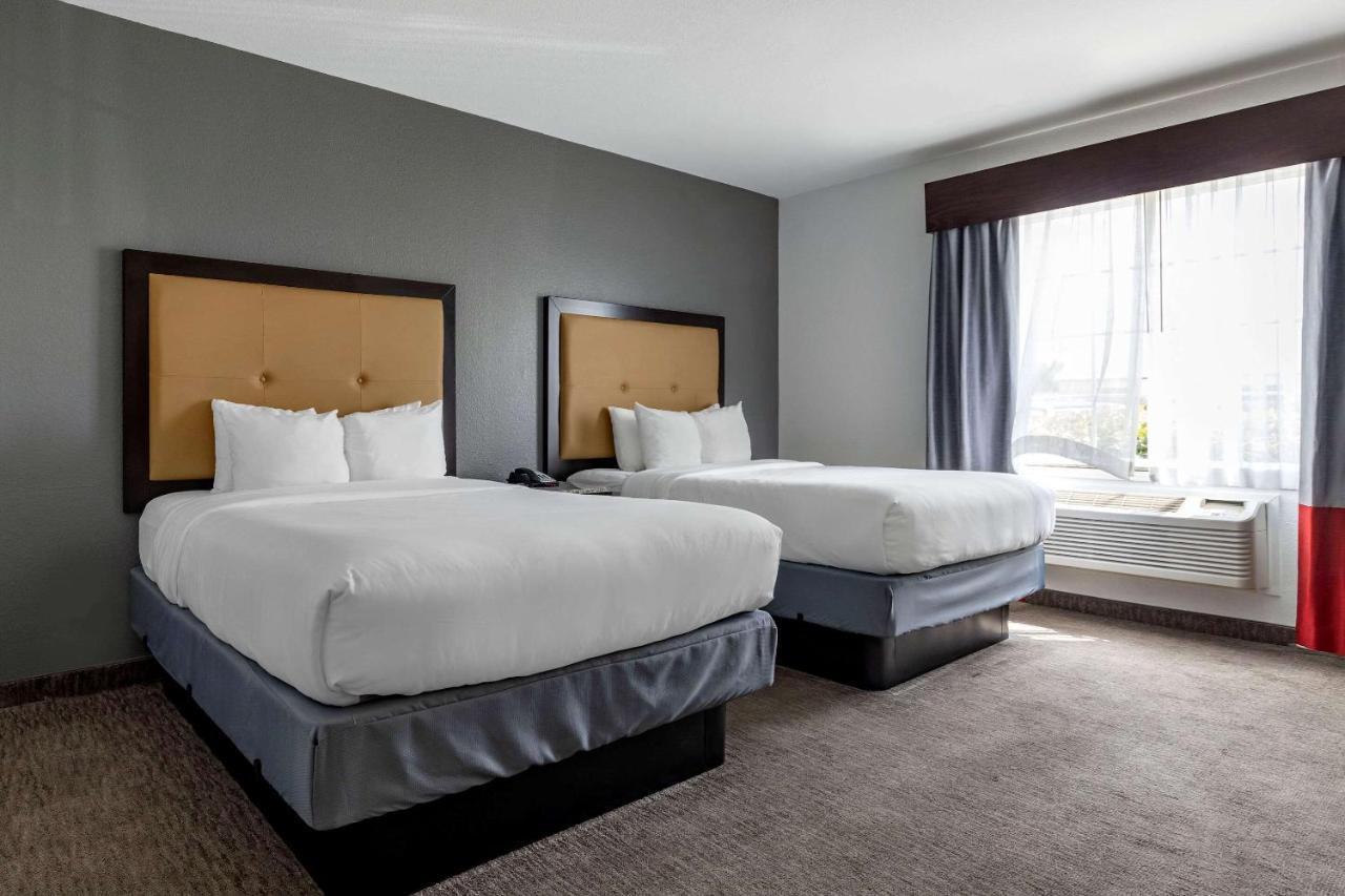 Queen Suite with Two Queen Beds - Non-Smoking,1316681092:JPEG