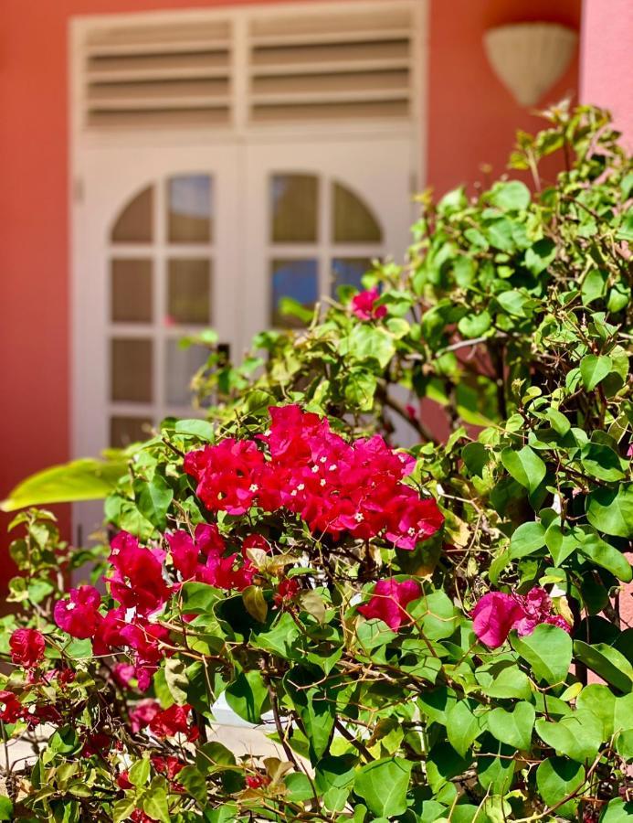 Studio with Garden View