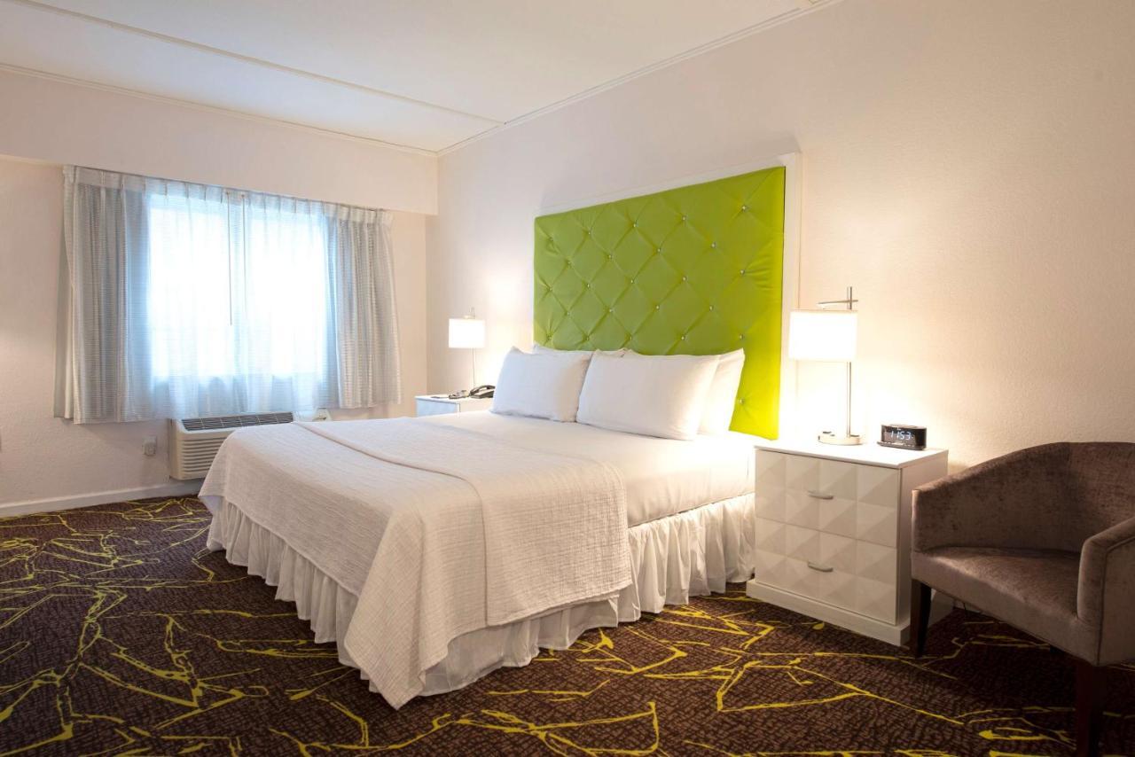 King Room,1557086956:JPEG