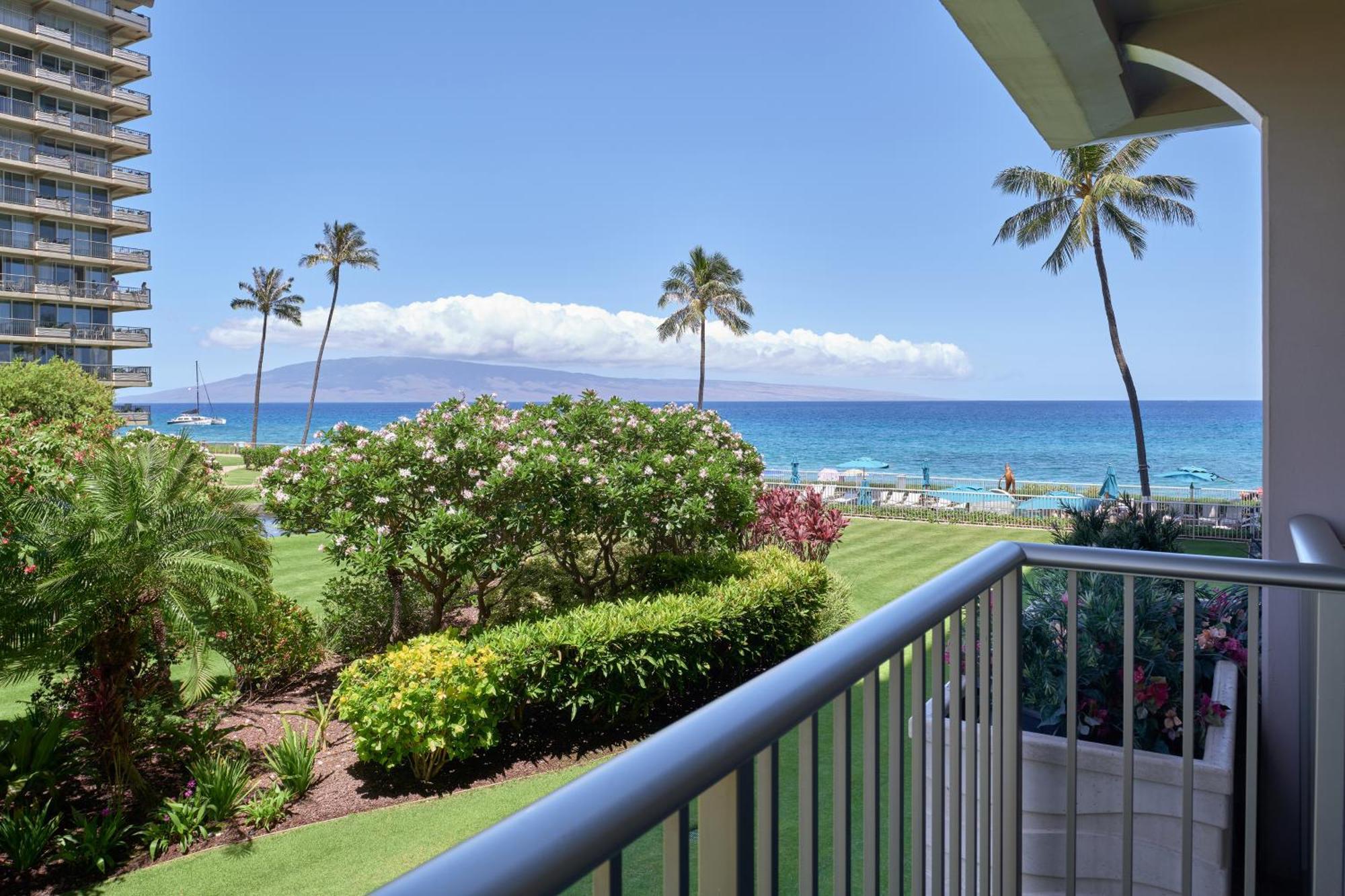 Studio Ocean View