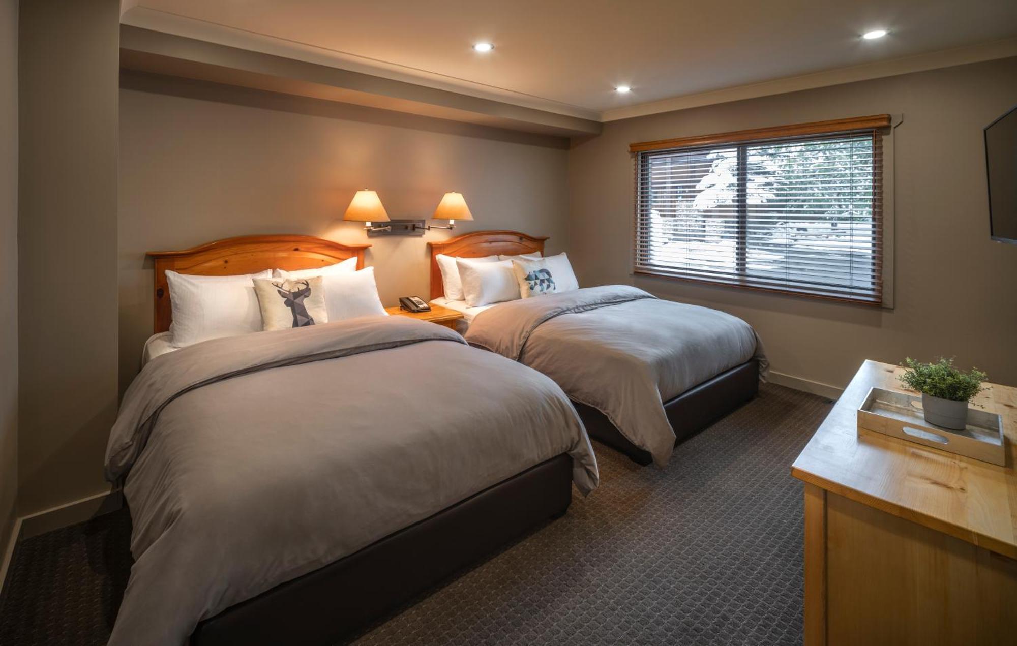 Buffalo 2 Queen beds Suite,1436154658:JPEG