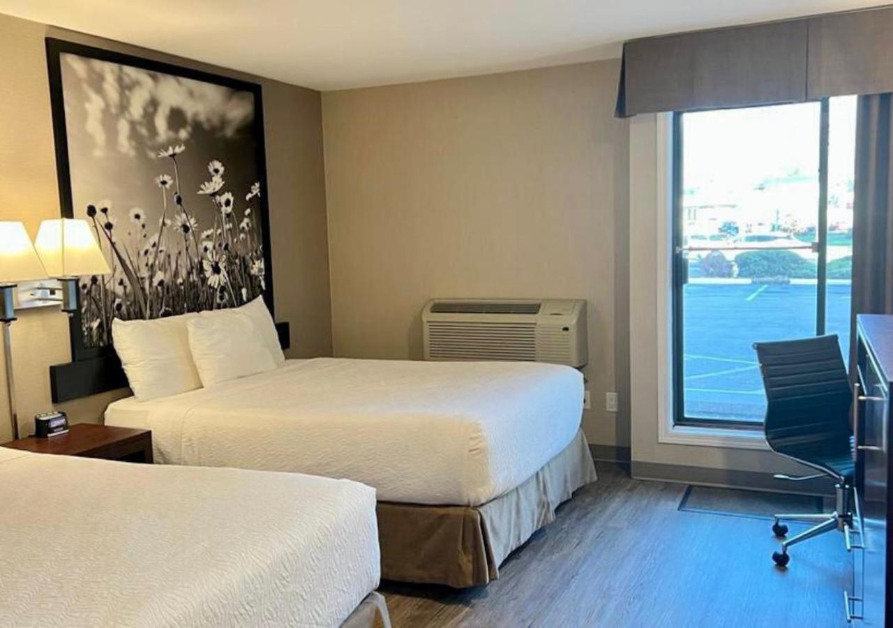 Queen Room with Two Queen Beds - Non Smoking - Pet Friendly