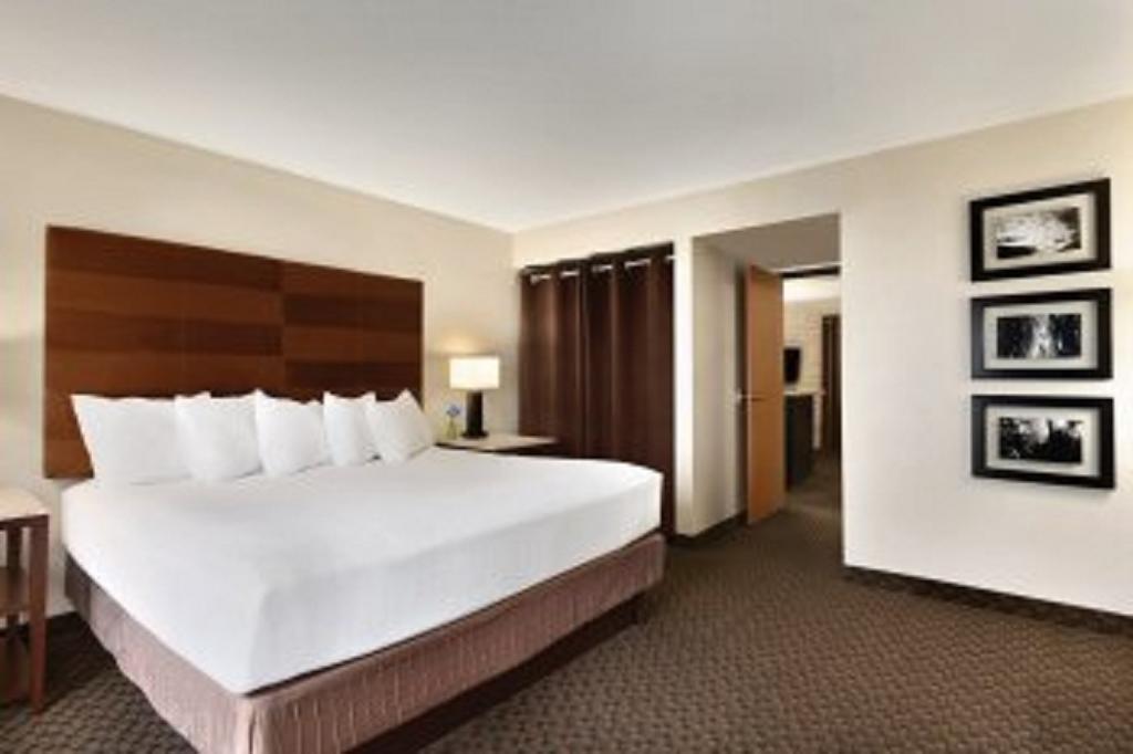 King Suite with Sofa Bed