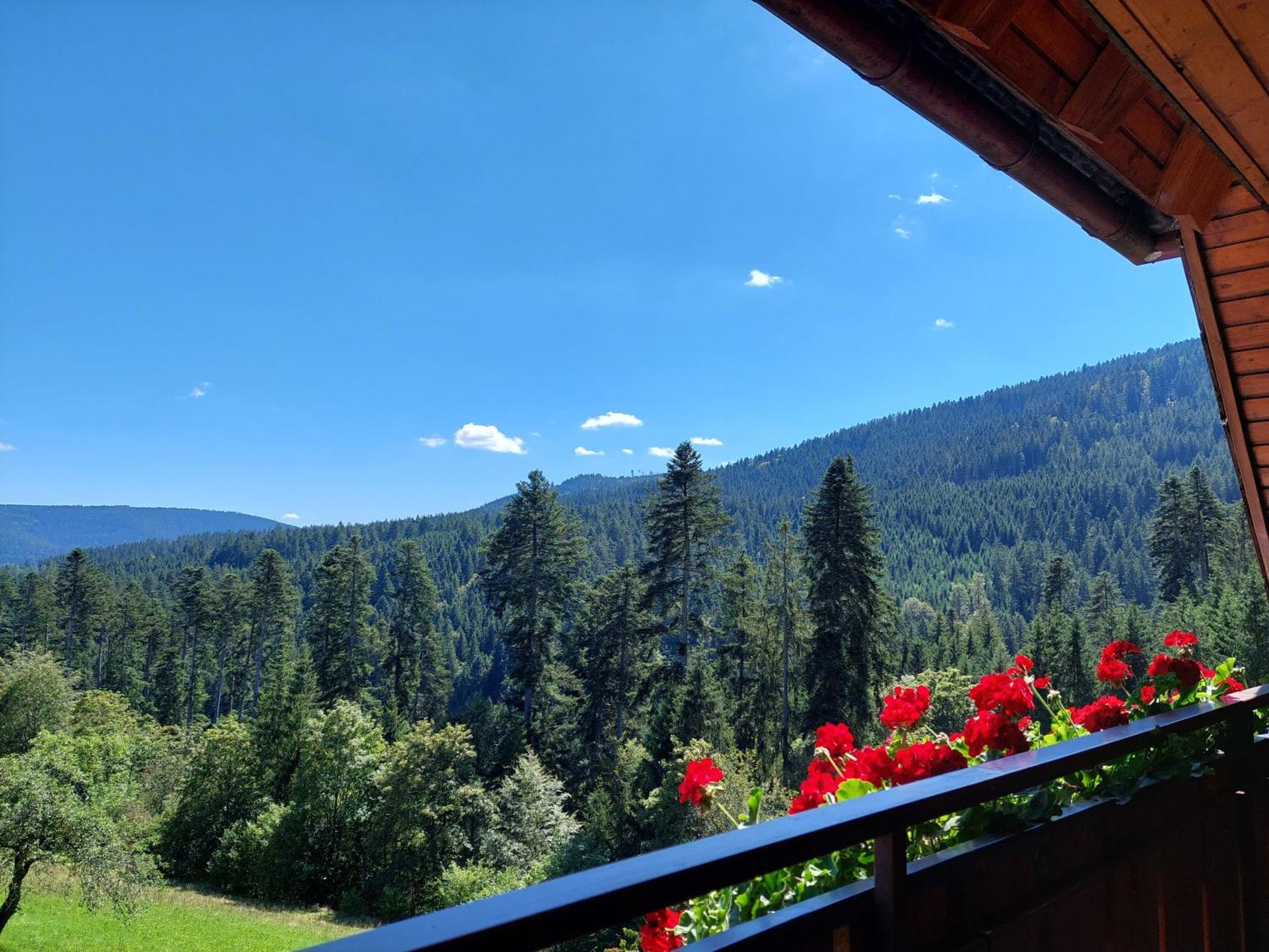 Double Room Balcony