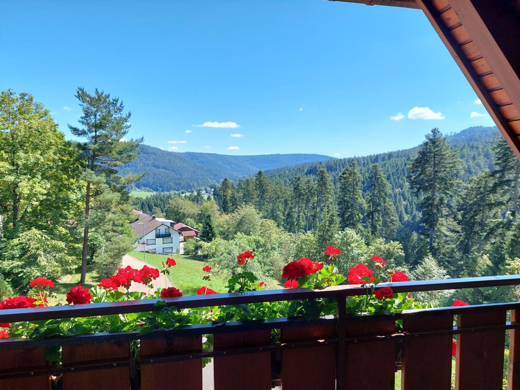 Double Room Balcony