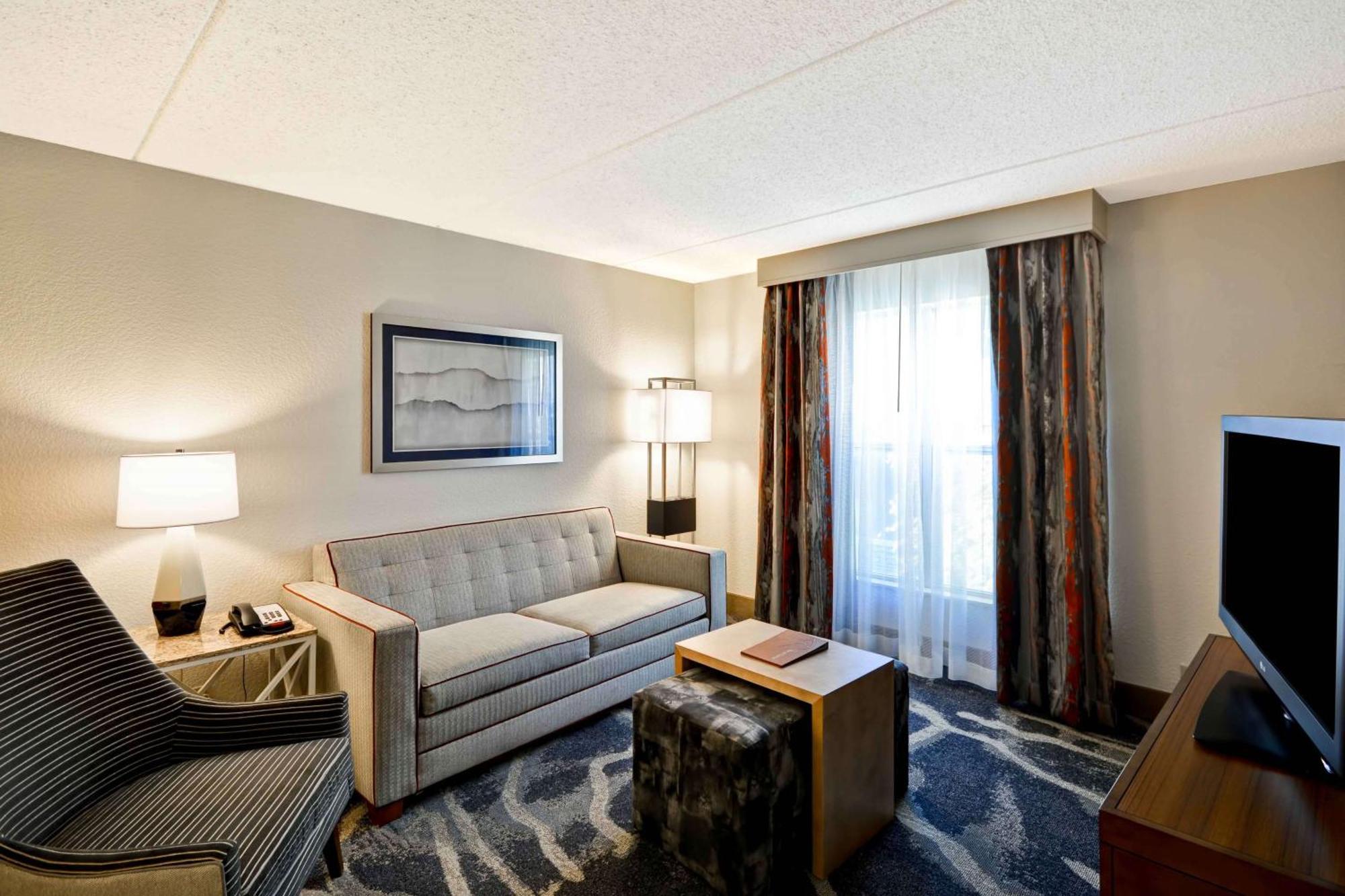 Premium One-Bedroom King Suite - Non-Smoking,1707740270:JPEG