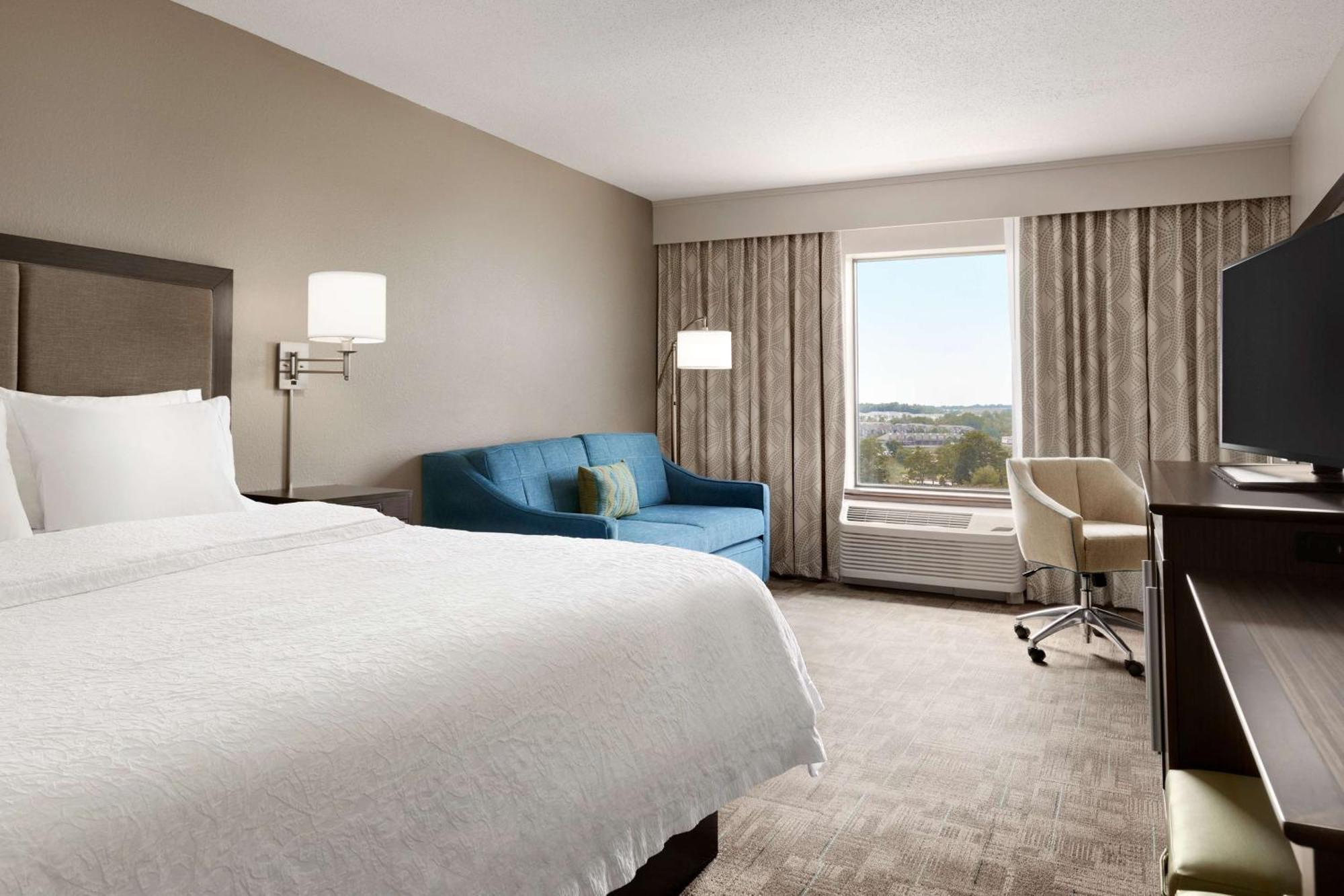 Executive King Room Sofa Bed Non-Smoking