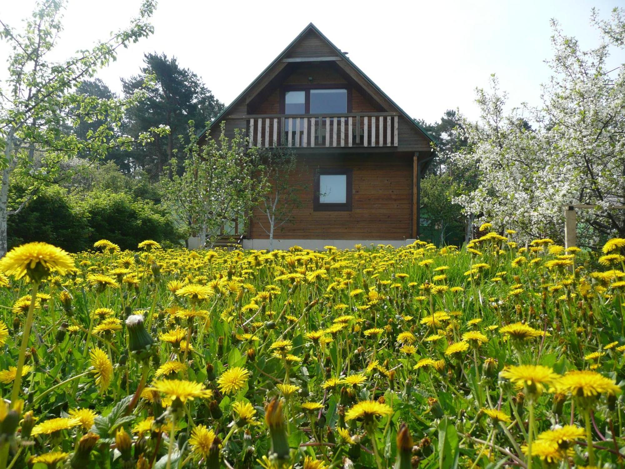 Grand Deluxe Twin