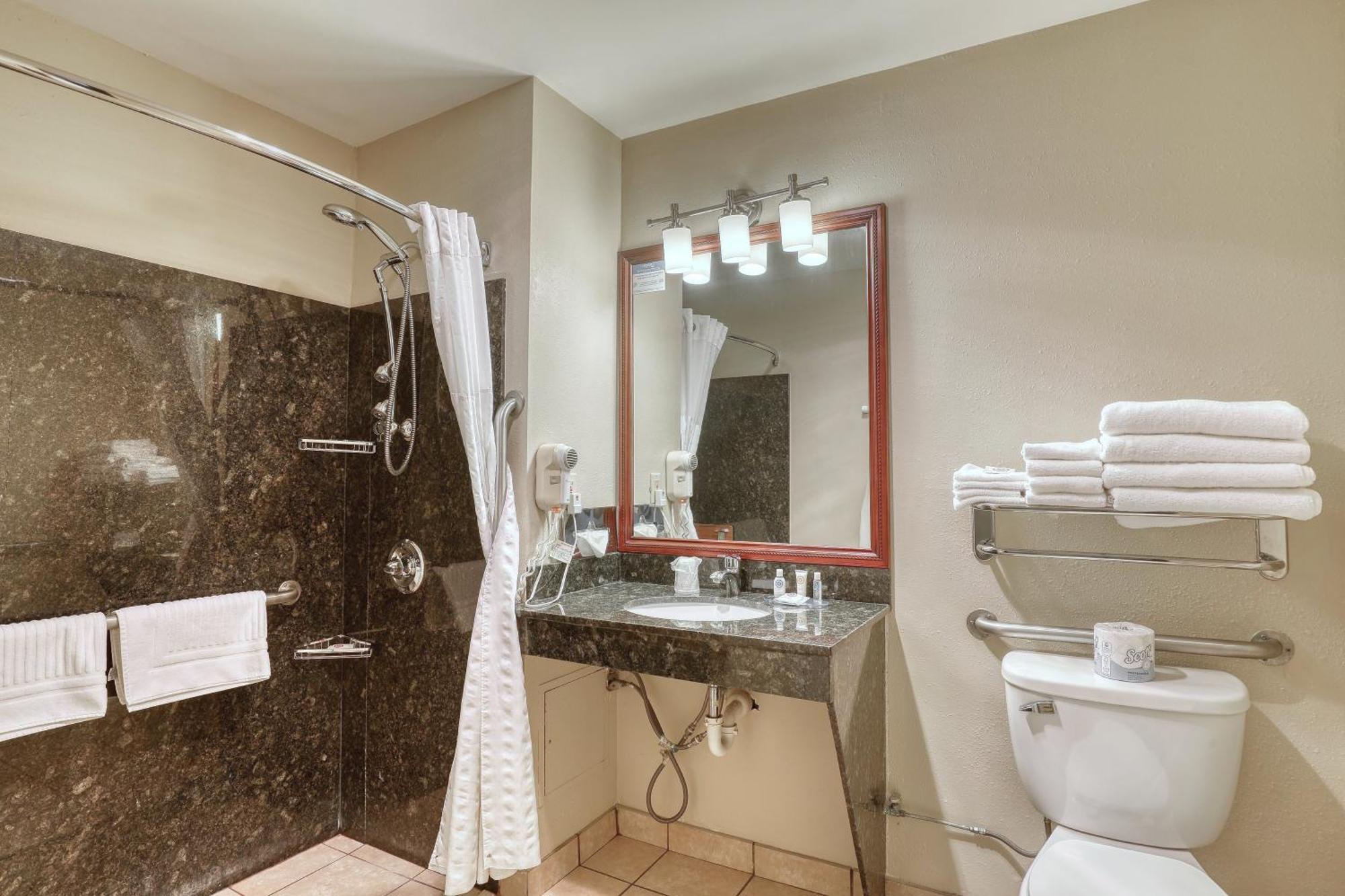 Double Suite Roll Shower Accessible or Non-Smoking