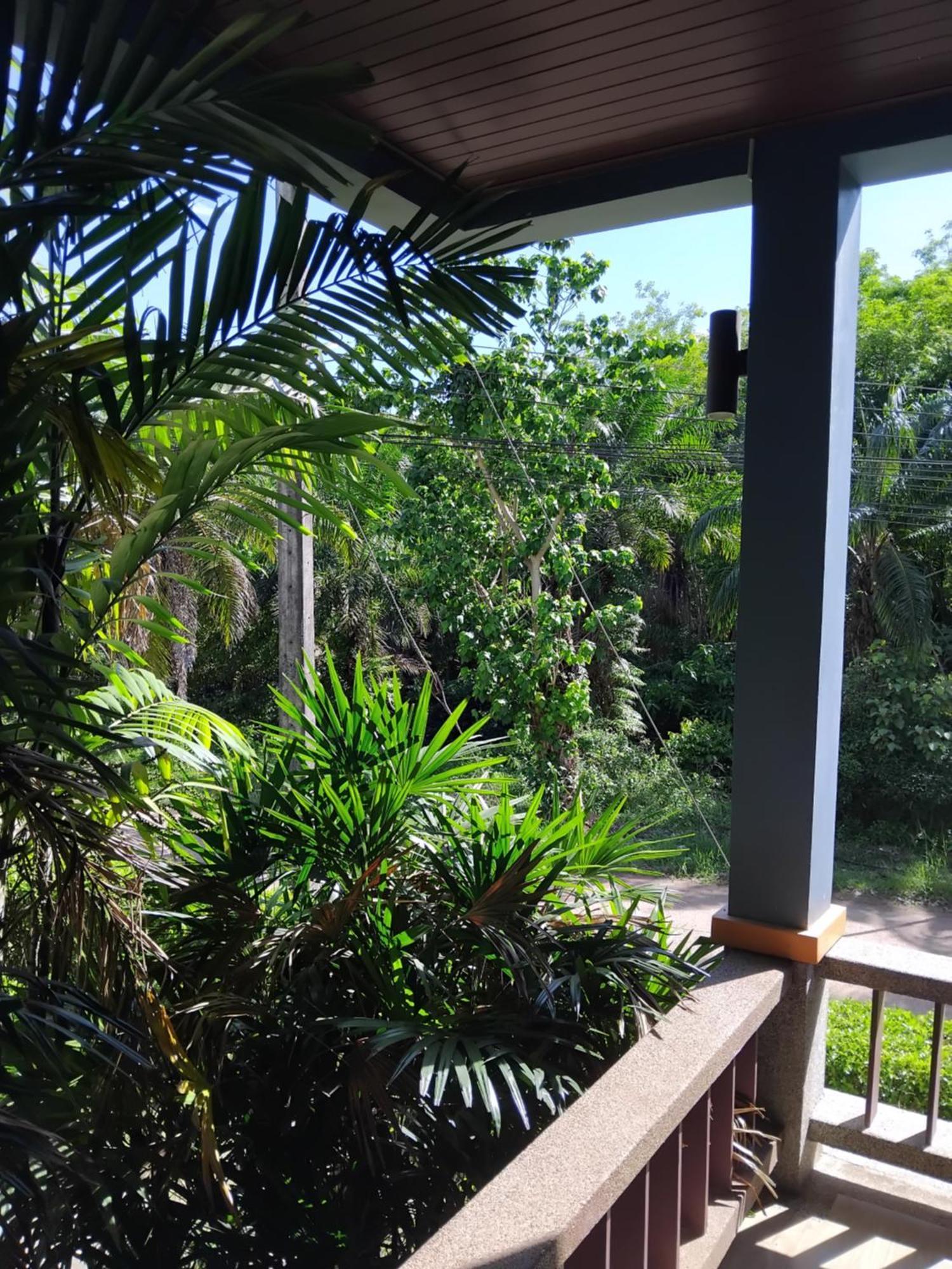 King Room with Garden View