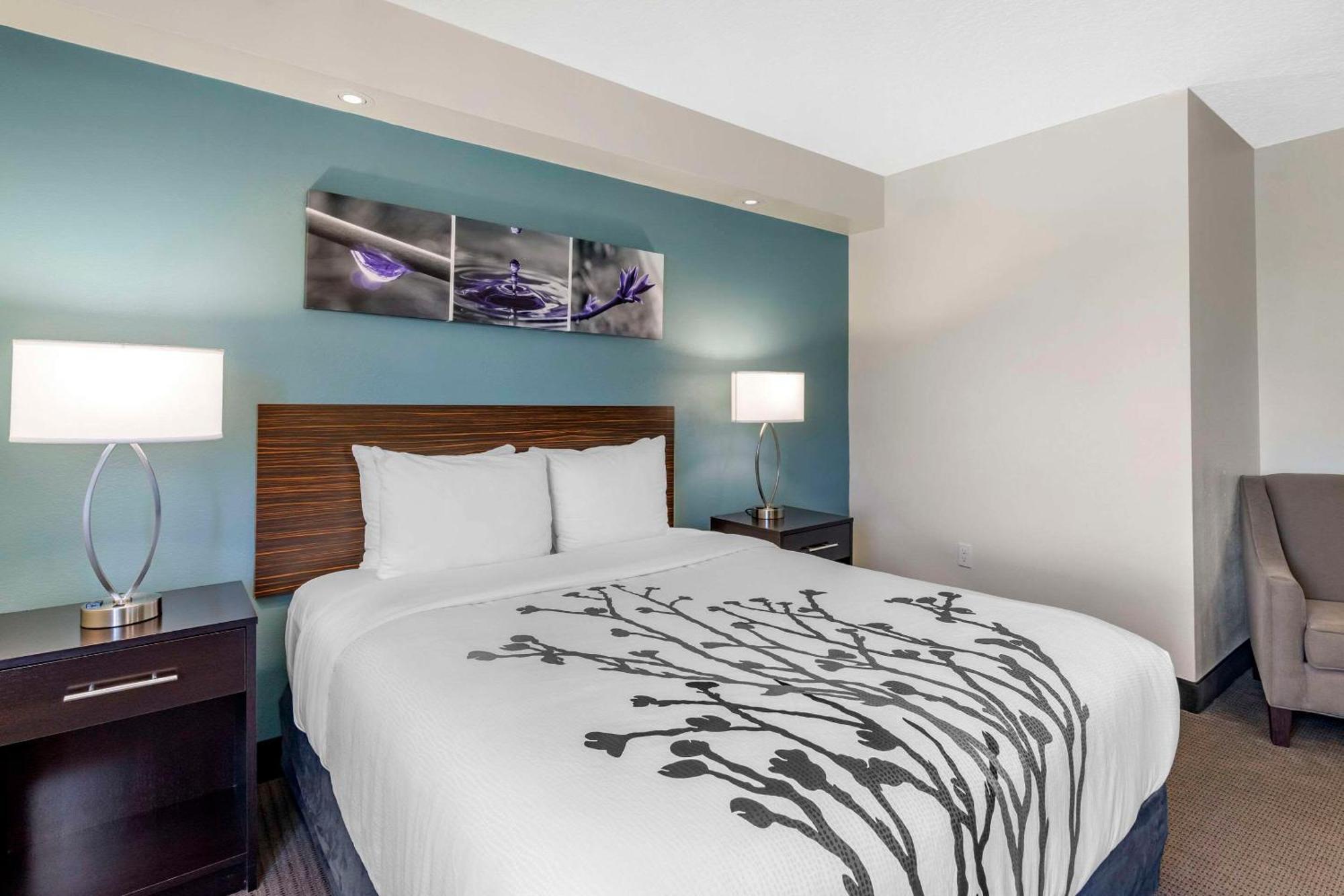 Queen Room - Disability Access - Non -Smoking