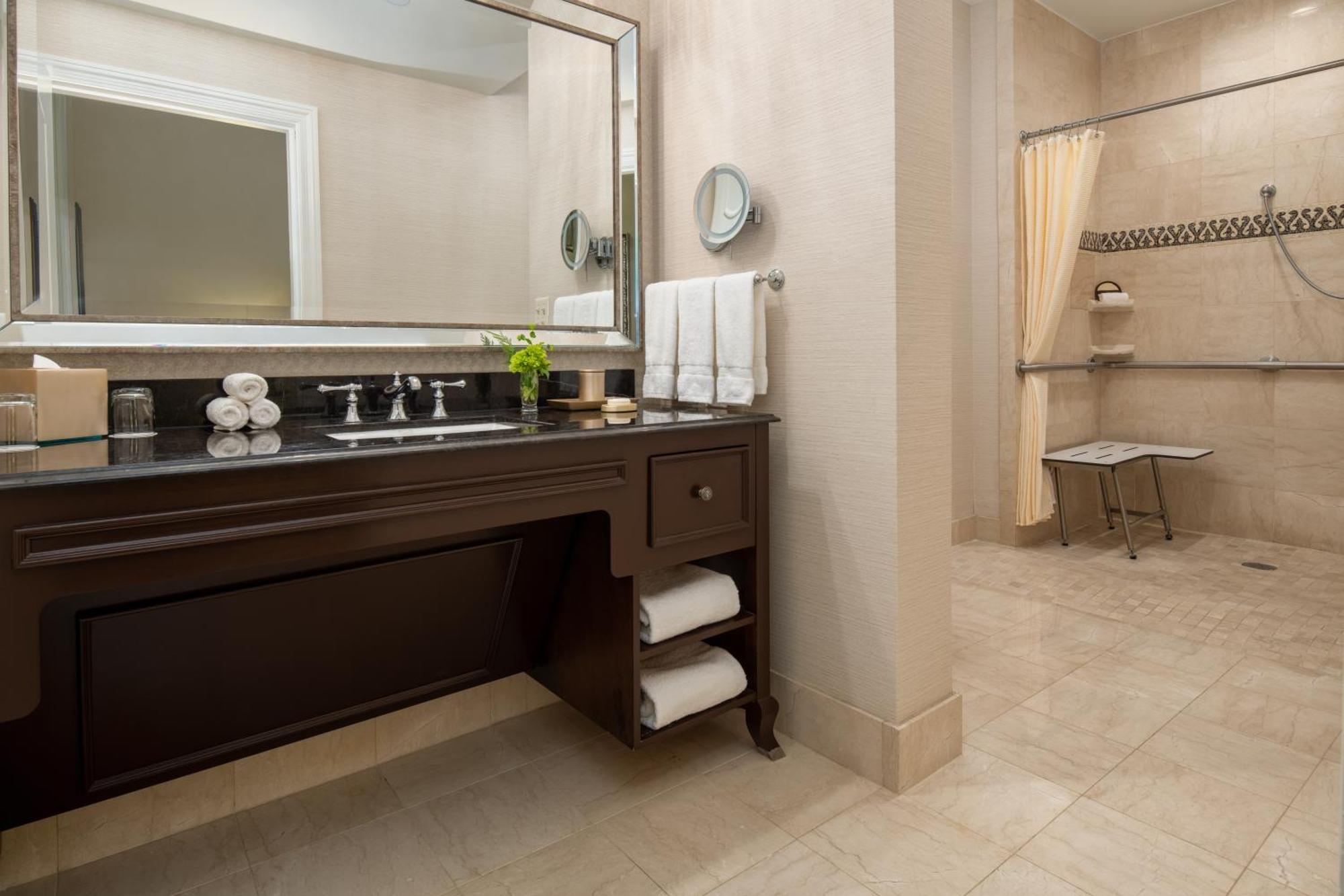 Deluxe King Room Roll Shower Mobility Access