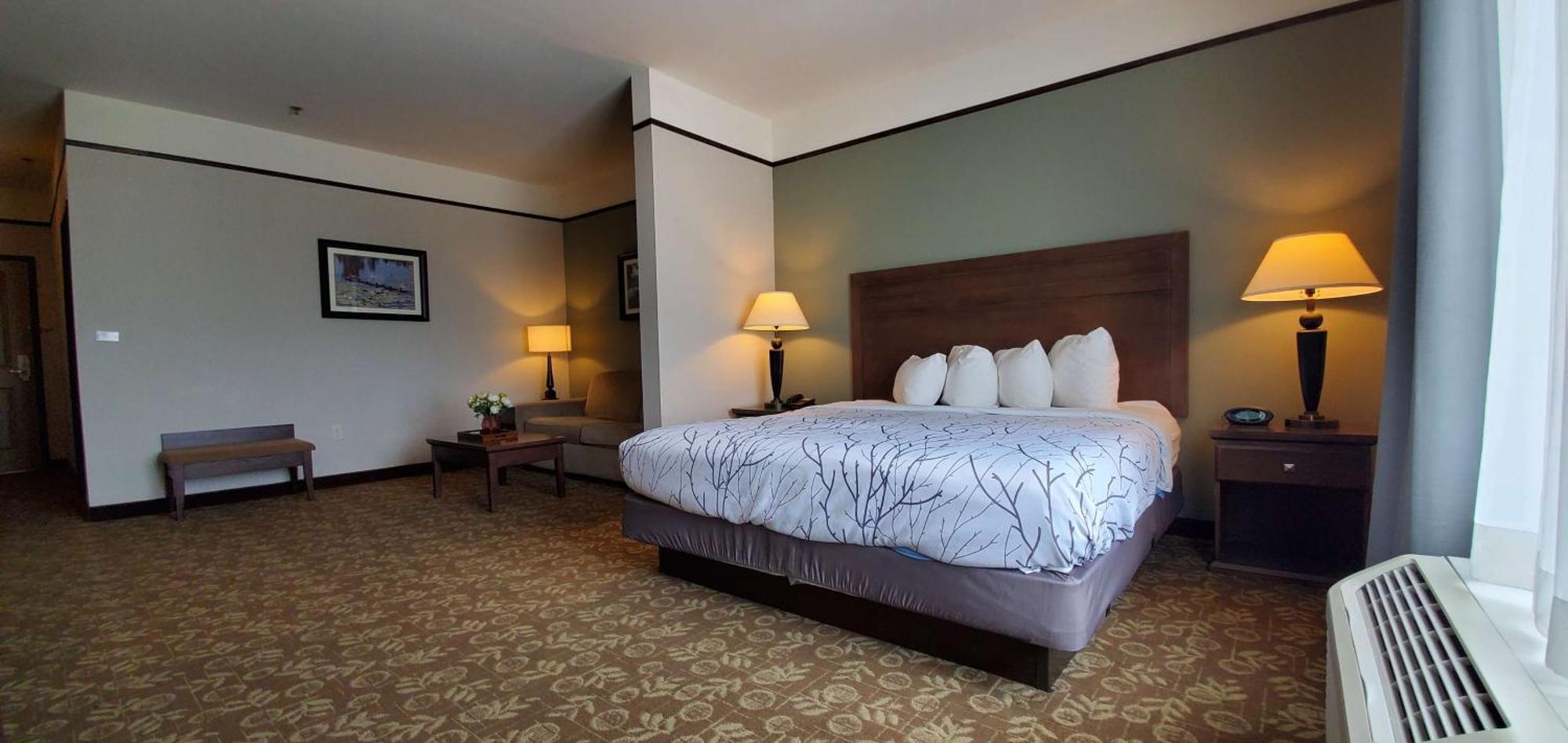 King Suite with Jetted Tub and Sofa Bed - Walk-In Shower/Non-Smoking,1611171218:JPEG