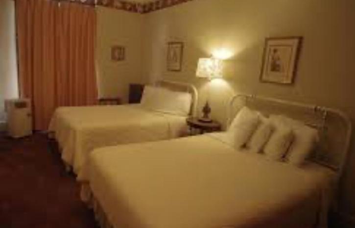Standard Suite,1611274529:JPEG