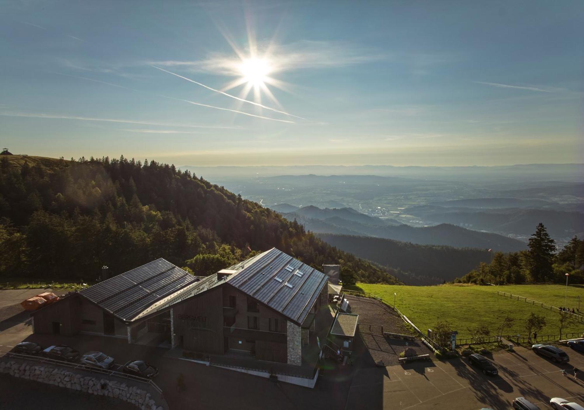 Suite Mountain View