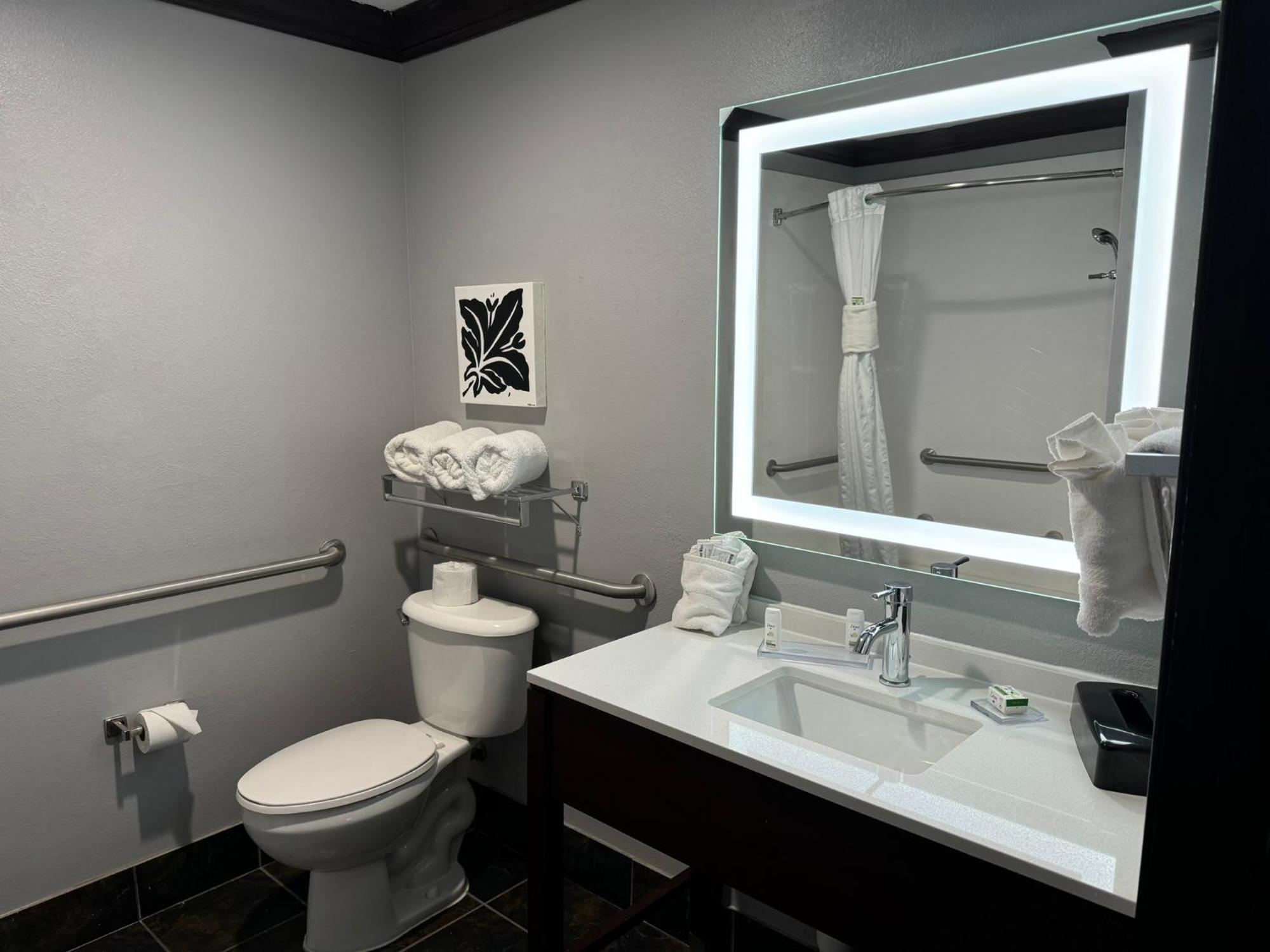 King Room Bath Tub Mobility or Hearing Accessible Non-Smoking