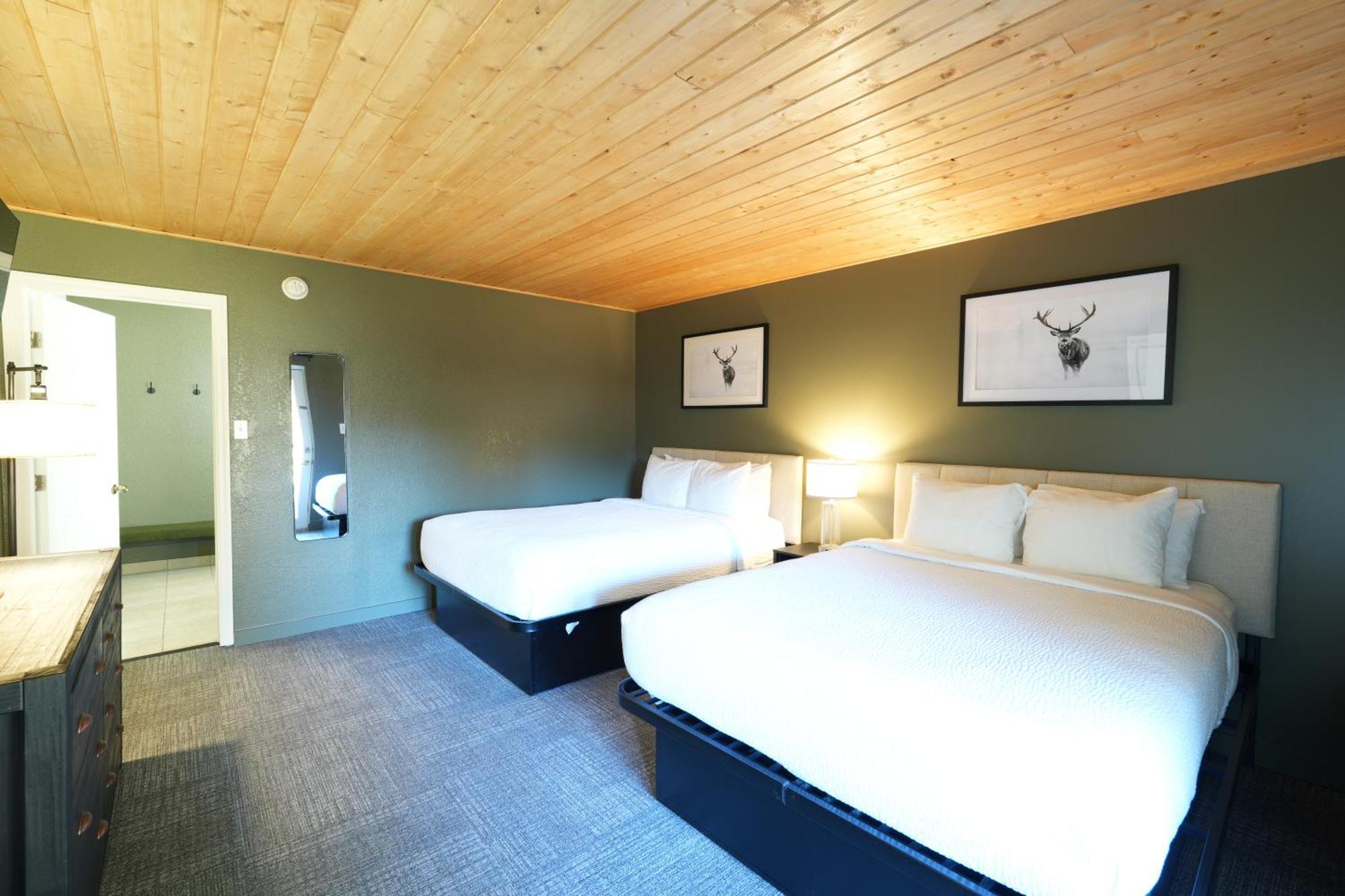 Family Suite,1624337309:JPEG