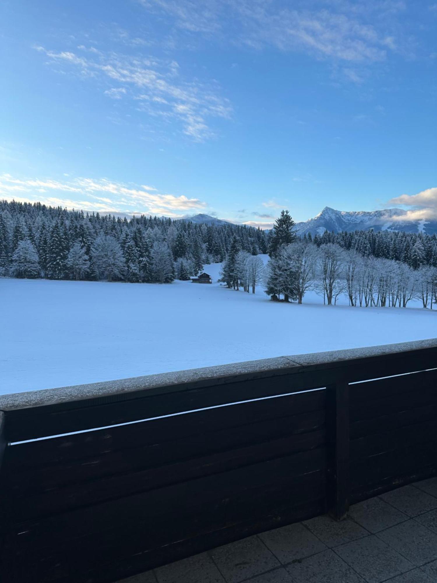 Single Room Mountain View