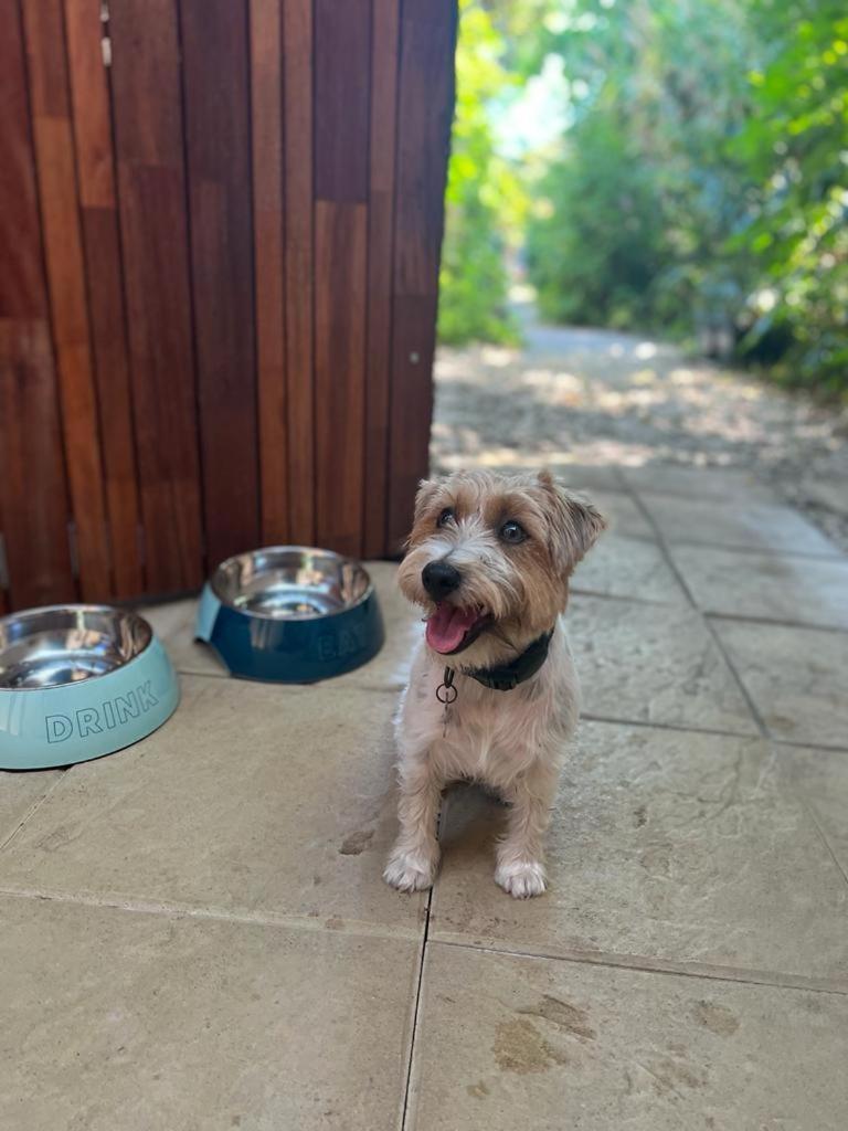 Standard Double Room Courtyard Dog Friendly