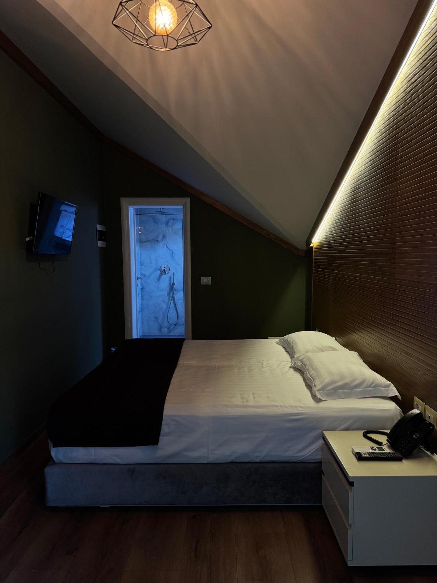 Deluxe Double or Twin Room Mountain View