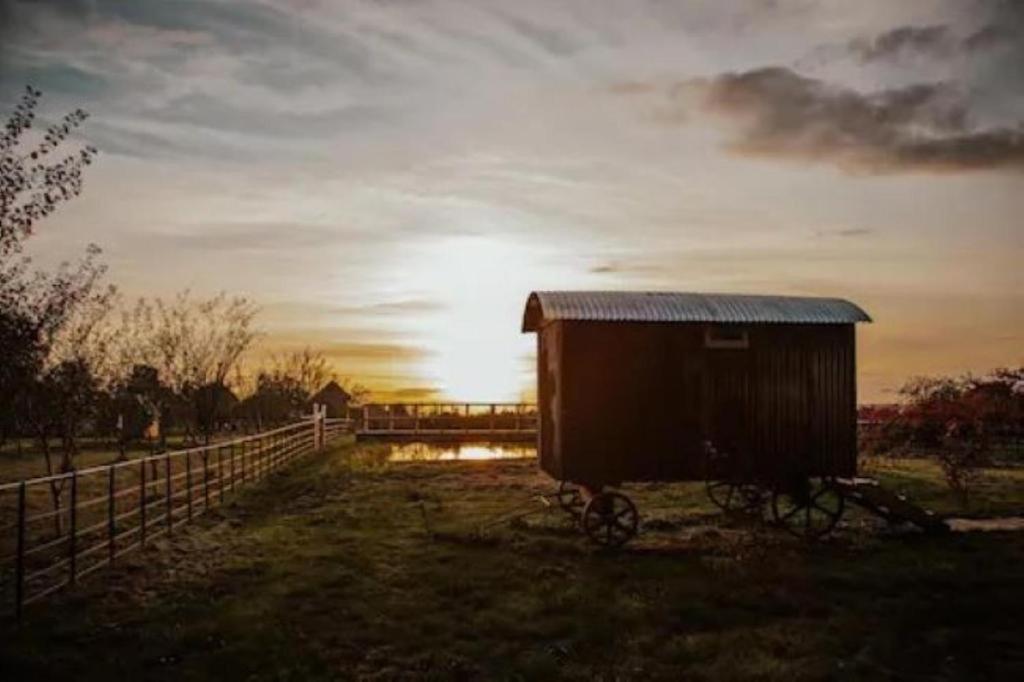 Shepherds Hut Glamping