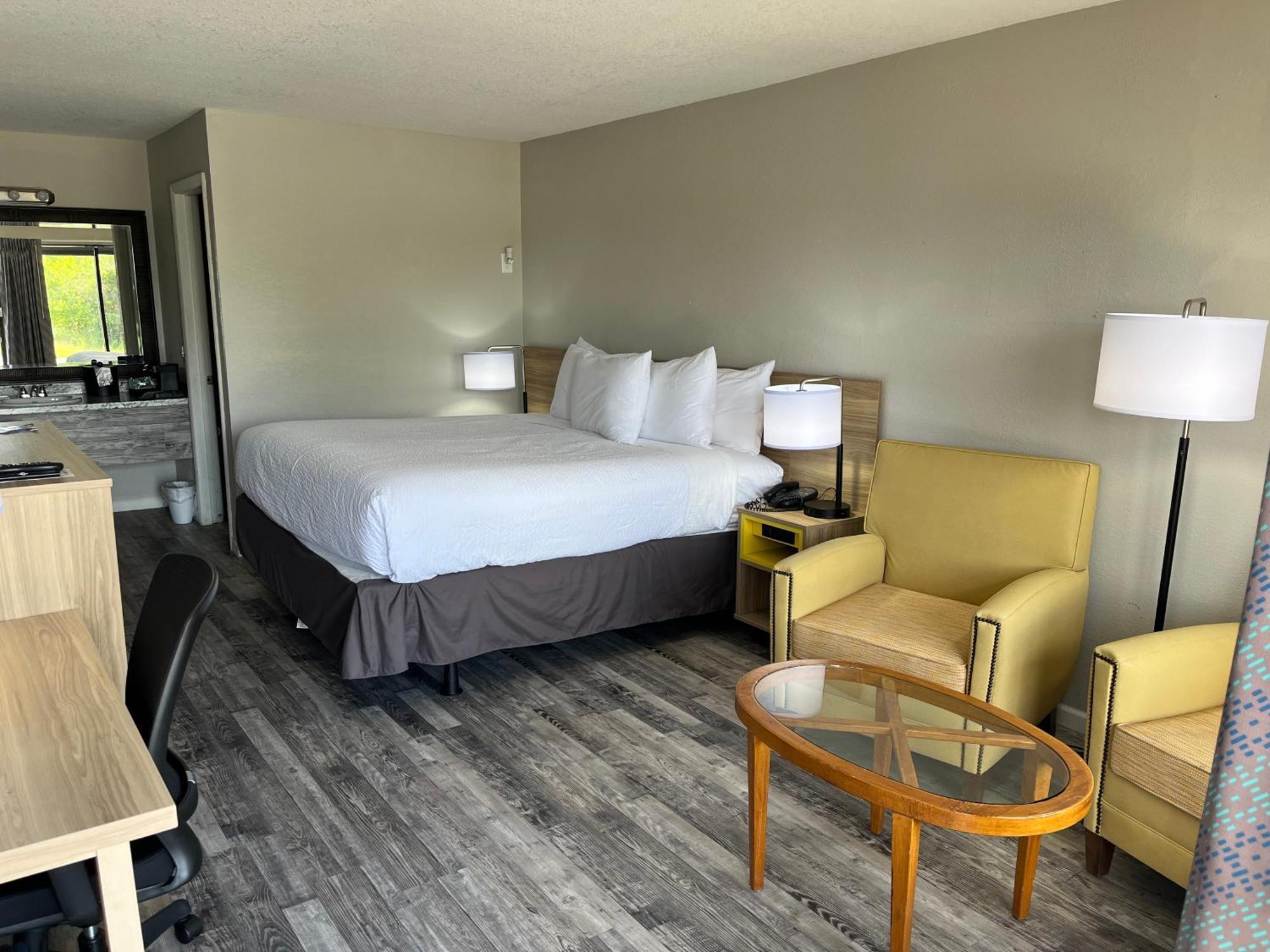 King Room Pet Friendly or Non-Smoking