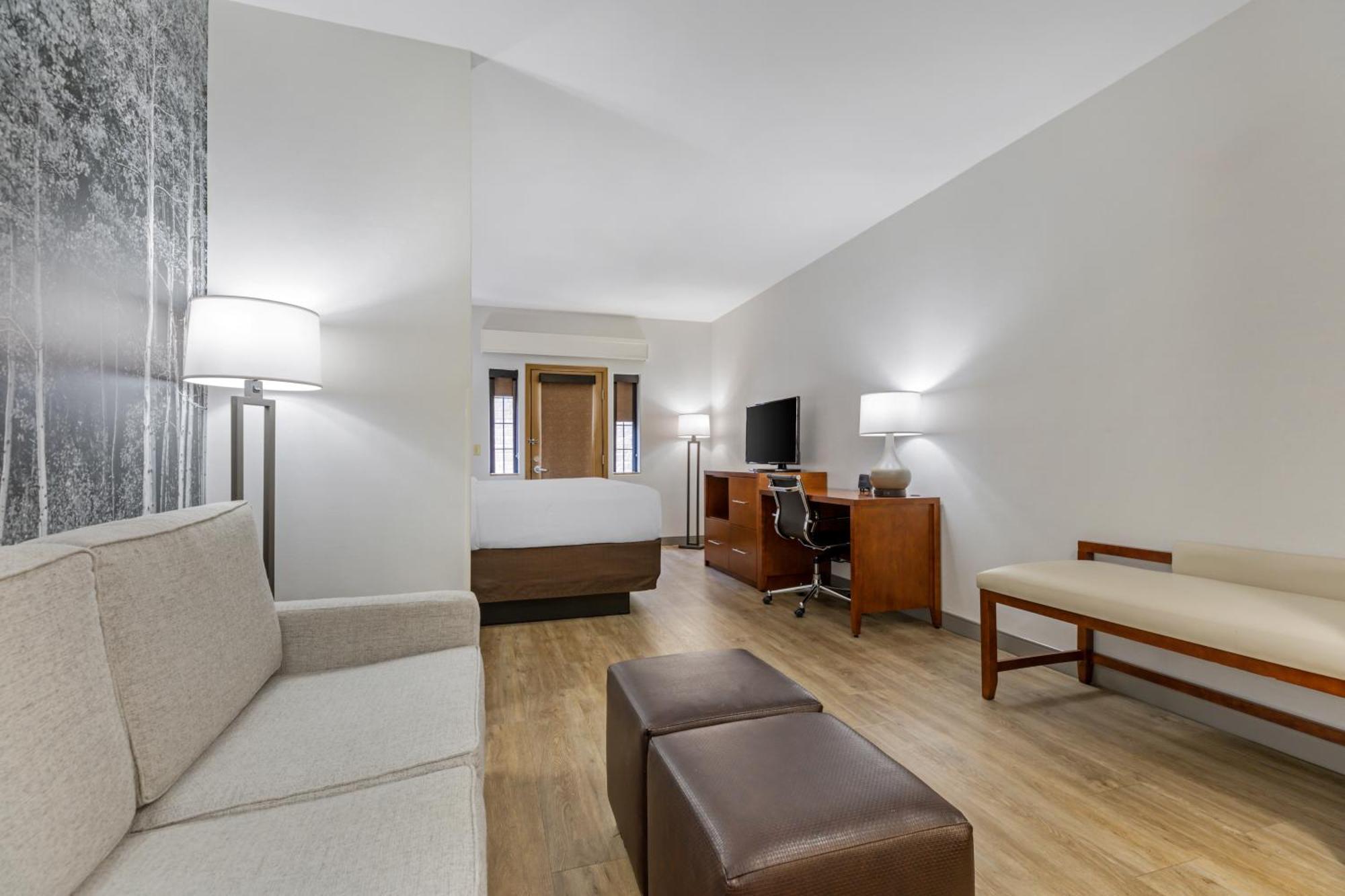 King Suite with Sofa Bed - Non-Smoking/Pet Friendly,1697917852:JPEG