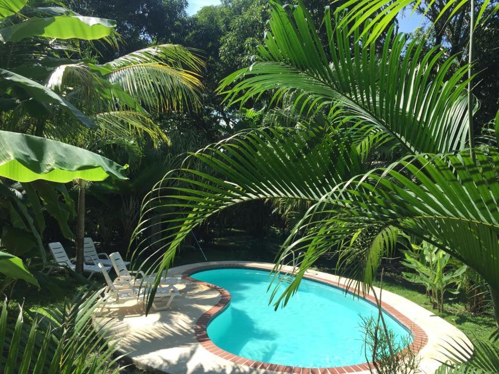 Double Room Garden View Fan
