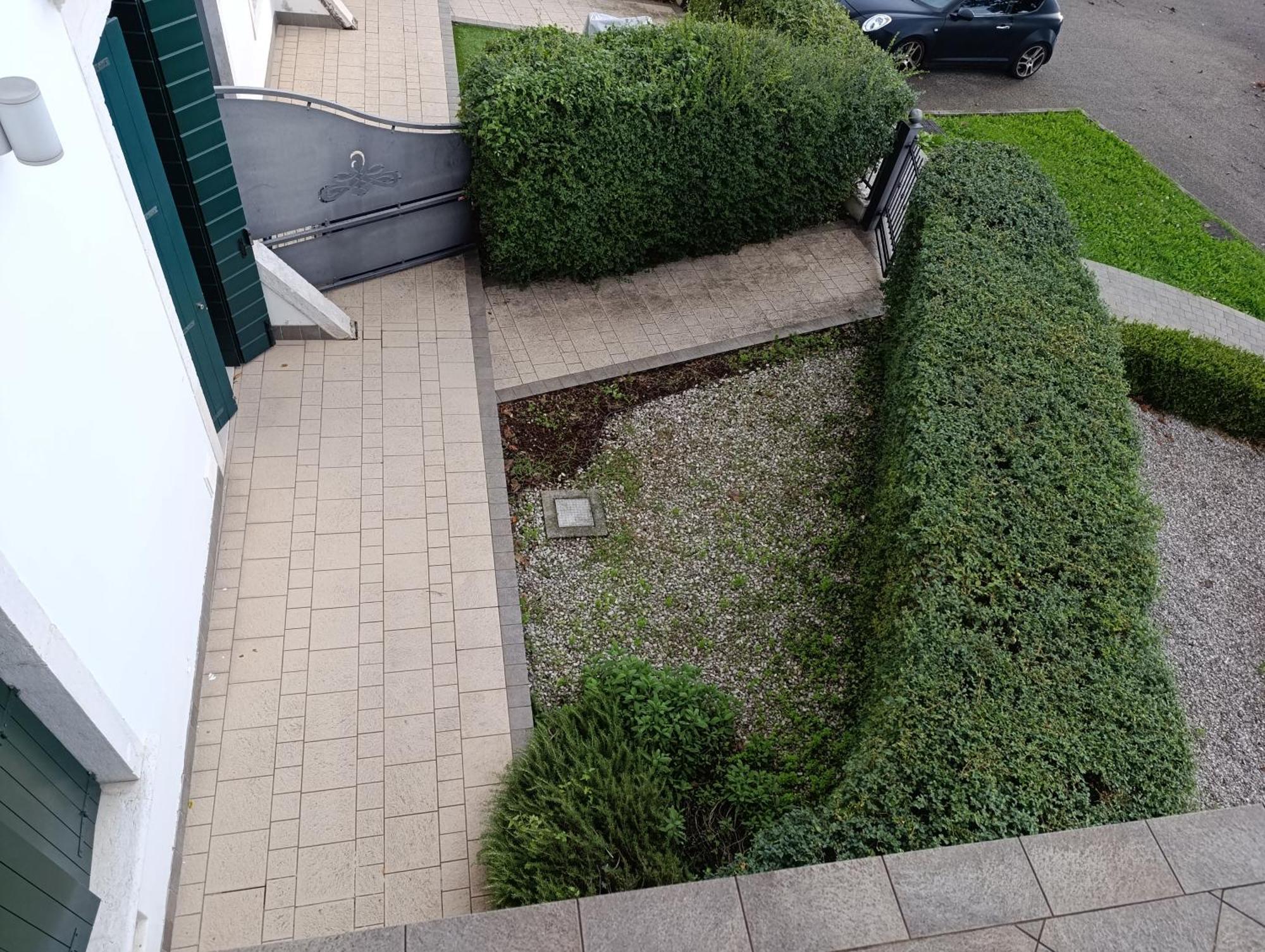 Apartment Garden View