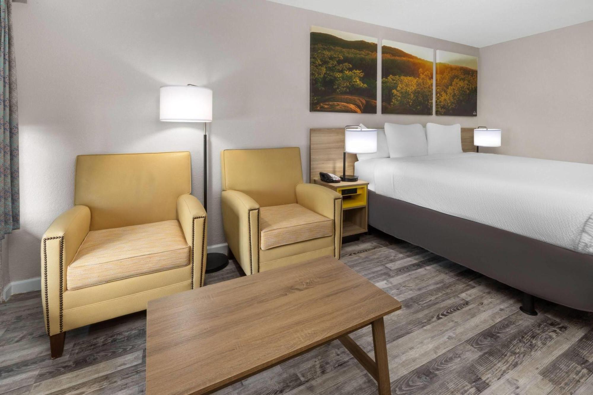King Room Pet Friendly or Non-Smoking
