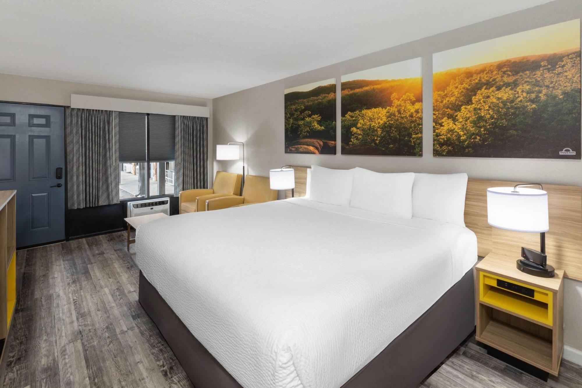 King Room Pet Friendly or Non-Smoking