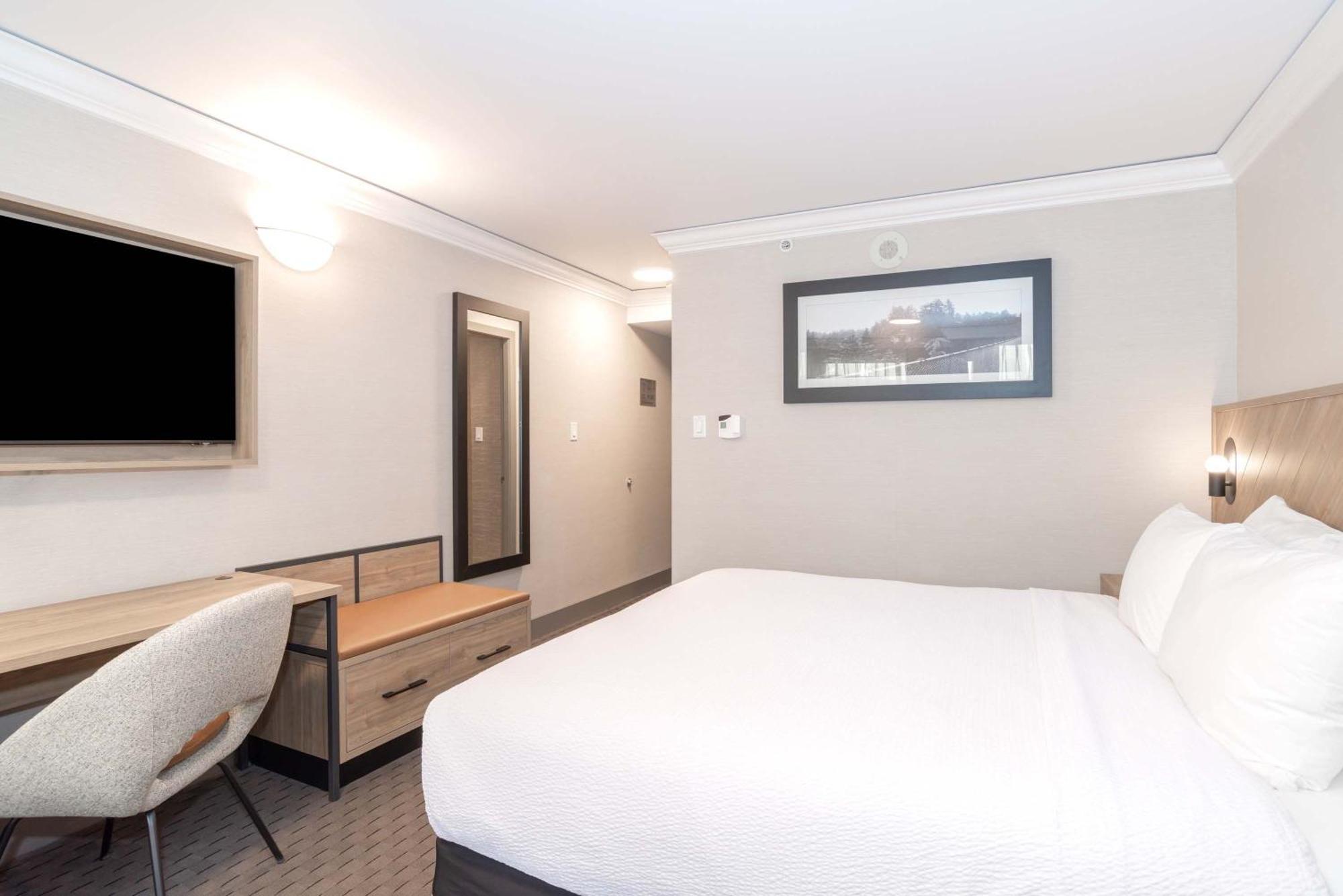 Standard Room 1 King Bed South Tower