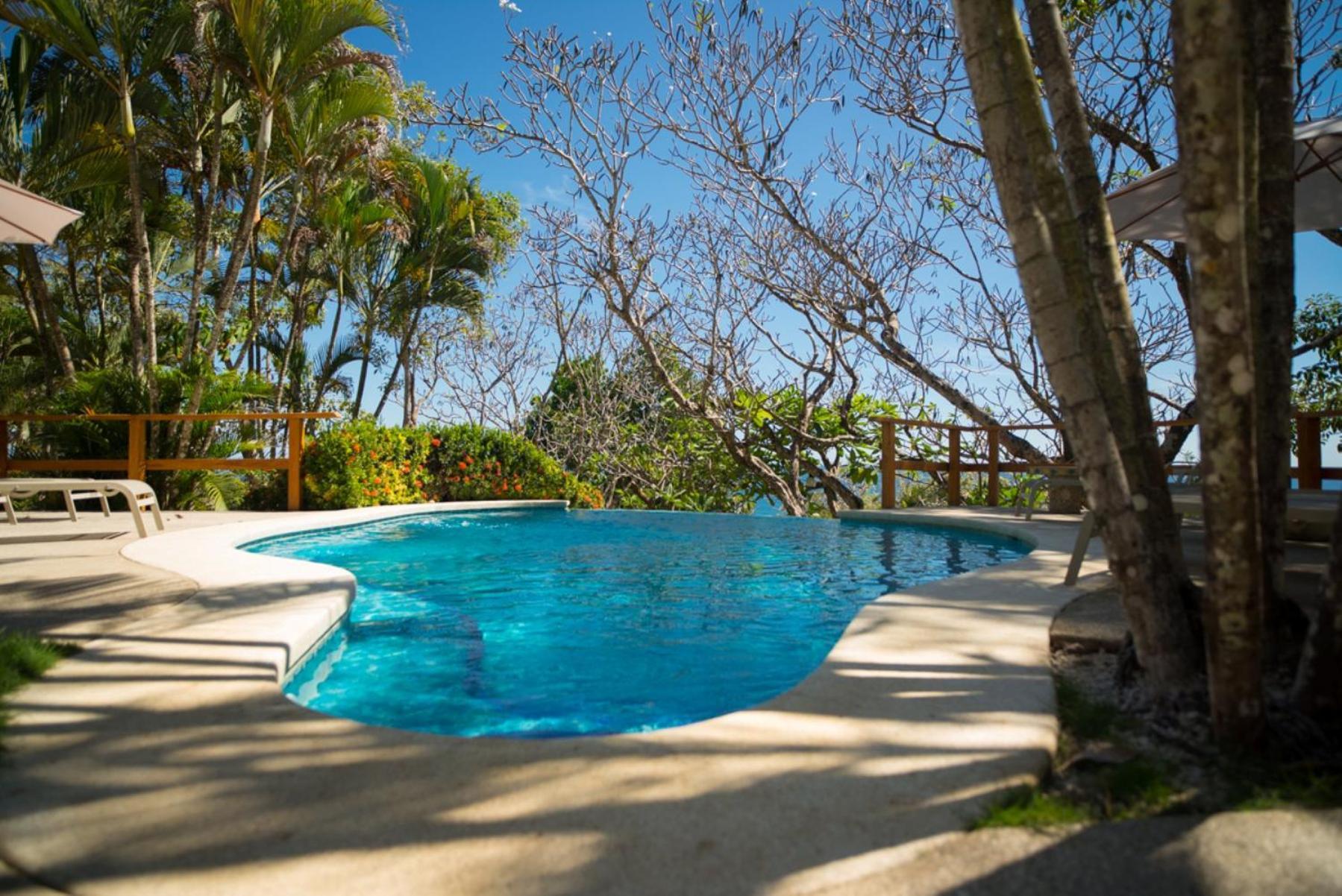 Tropical Suite