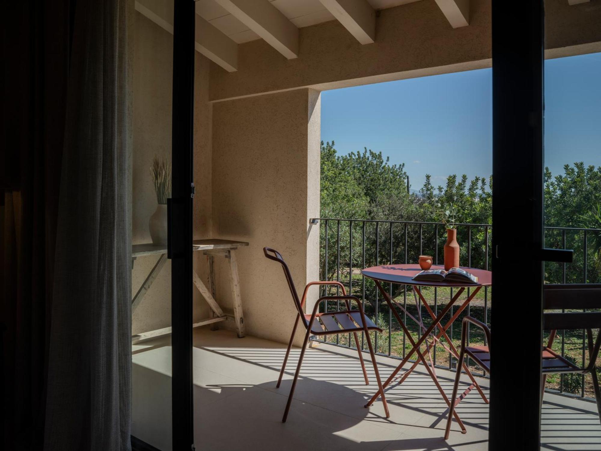 Suite Terrace