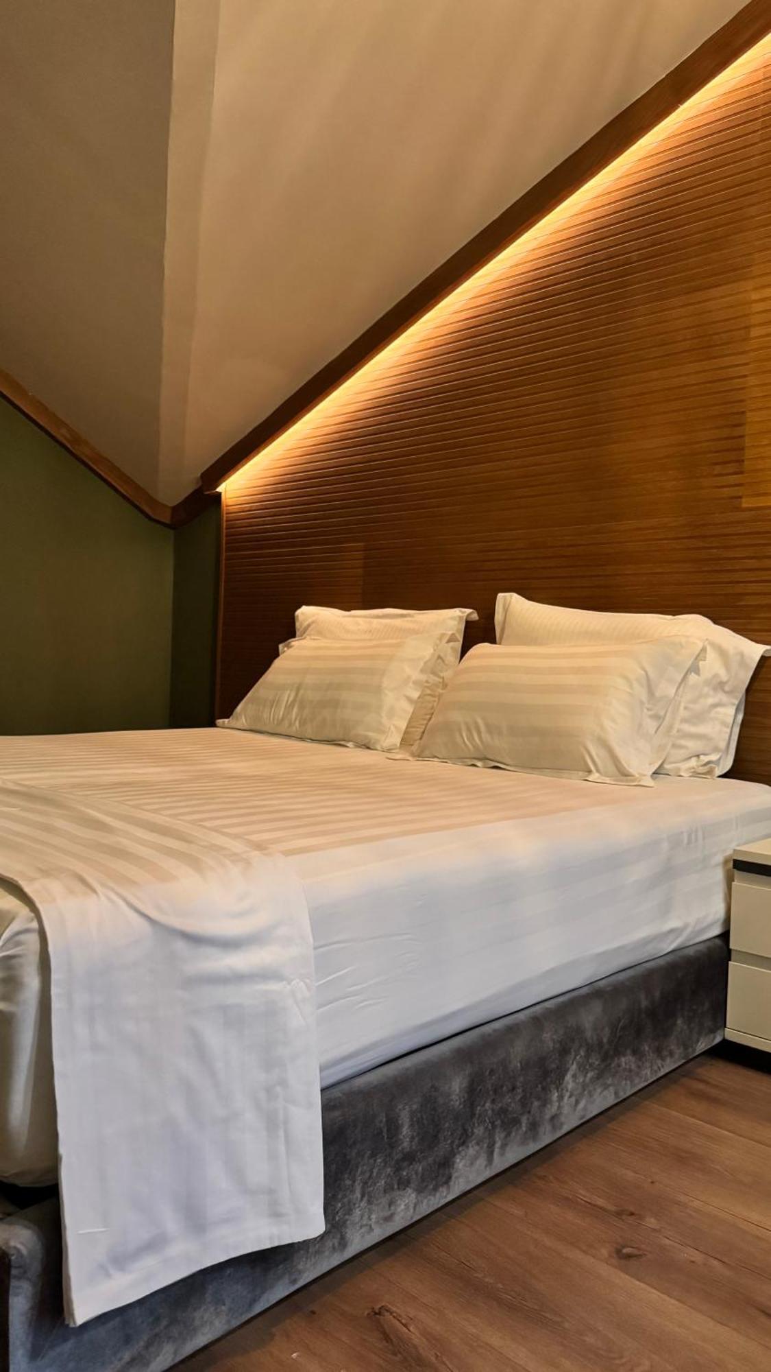 Deluxe Double or Twin Room Mountain View
