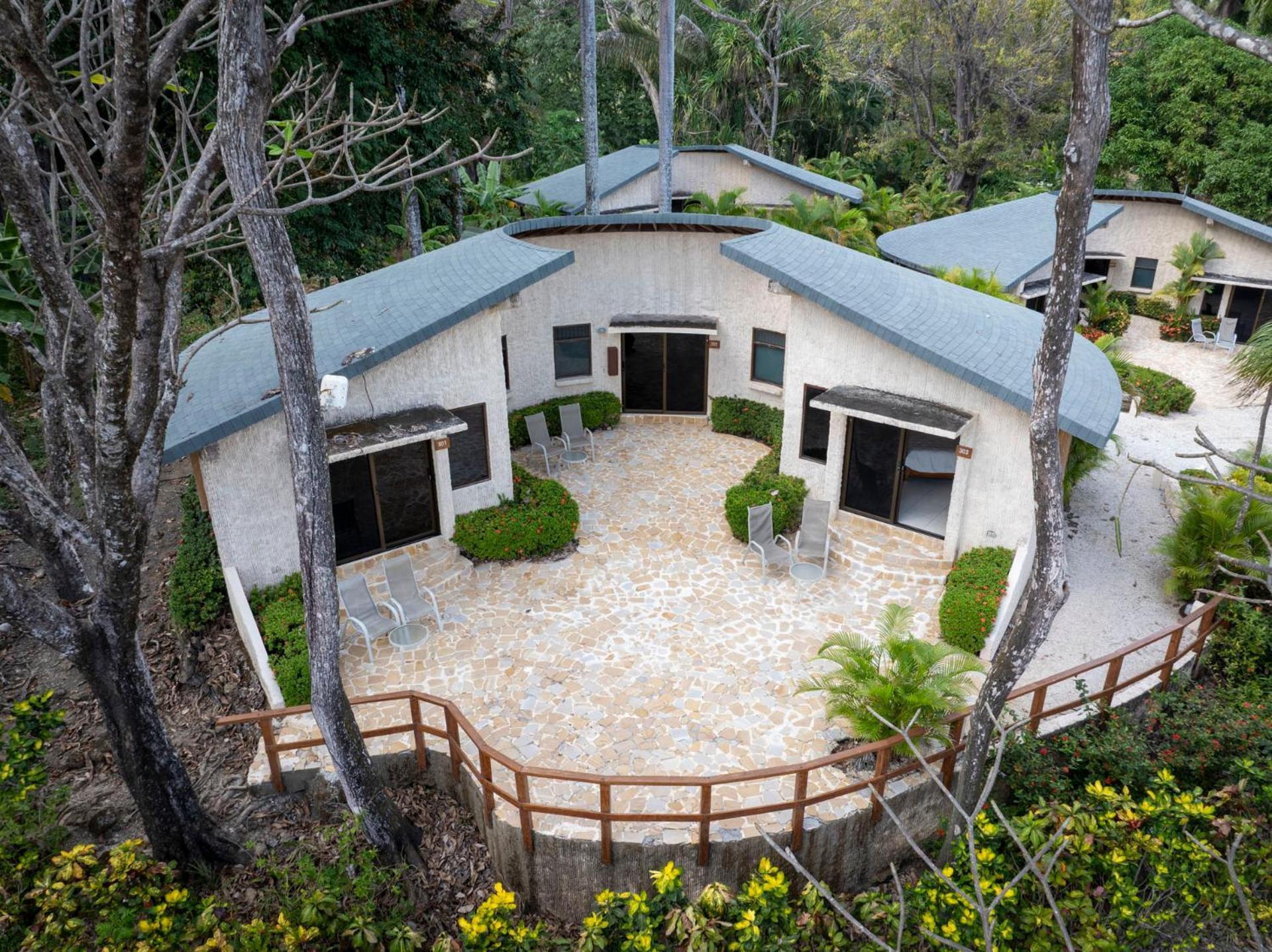 Tropical Suite