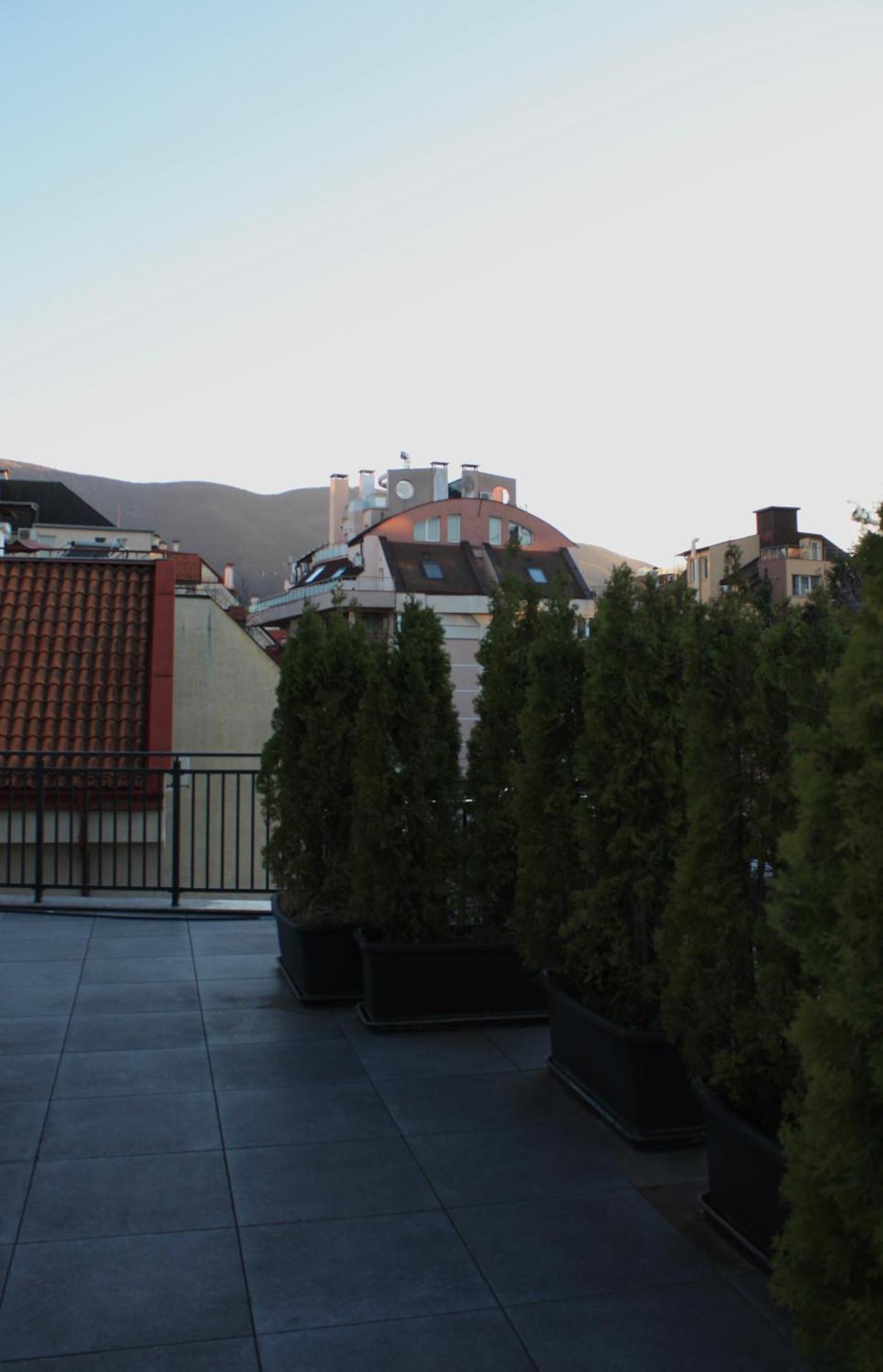 One-Bedroom Apartment Balcony Mountain View