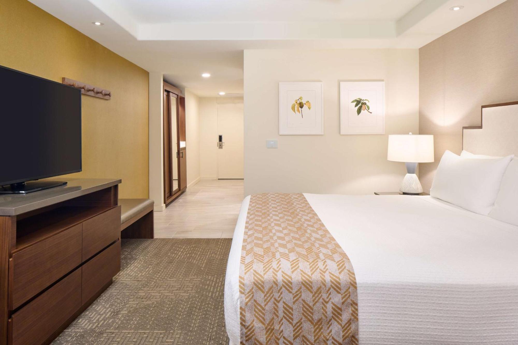 Premium Resort View 1 King Bed