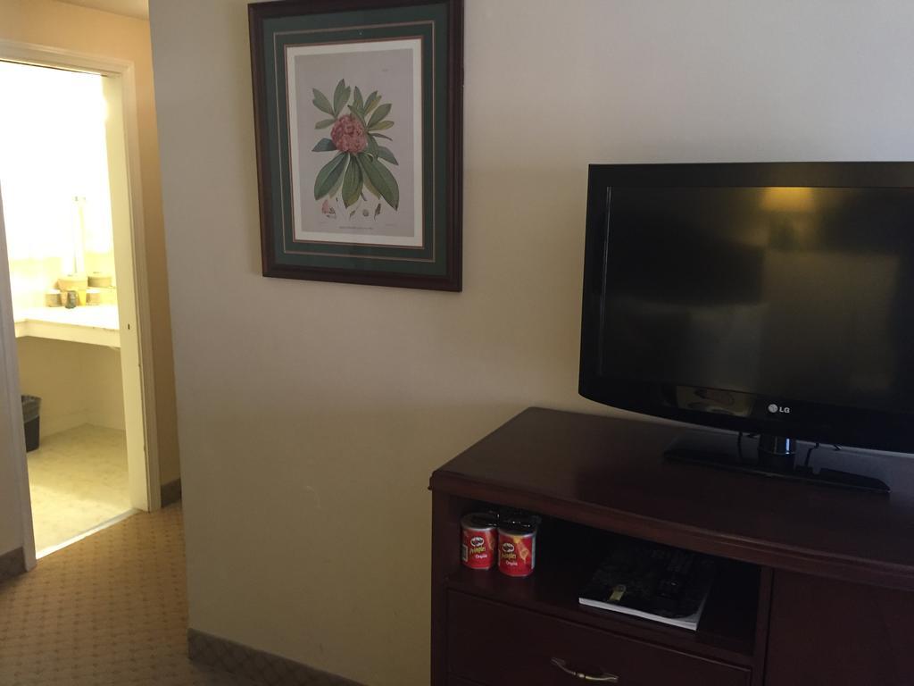 Double Room with Two Double Beds,255366773:JPEG