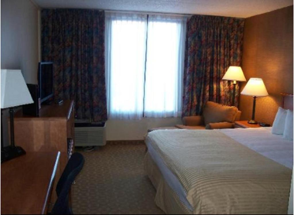 1 King Bed Non-Smoking