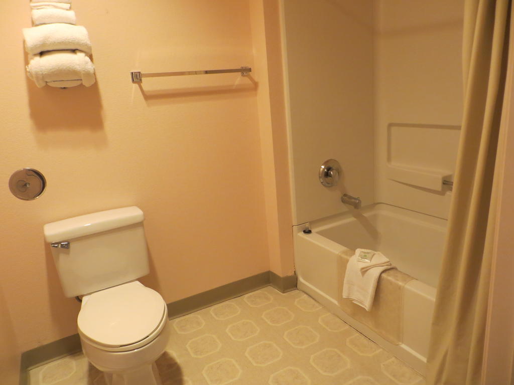 Standard King Room Non Pet Friendly