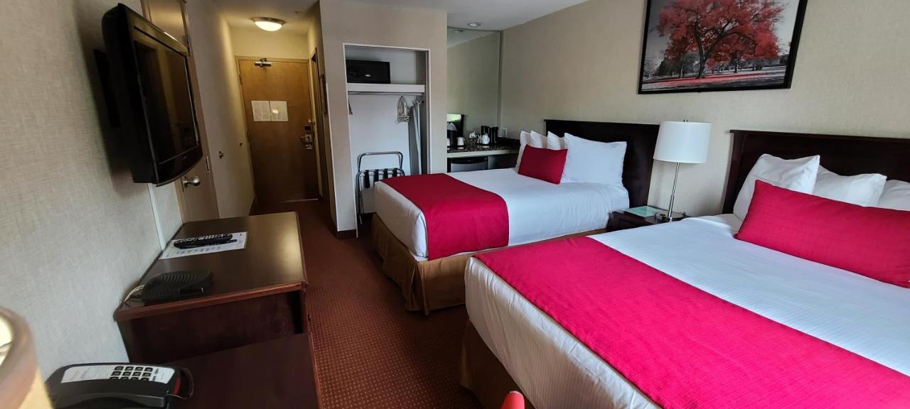 Double Room with Two Double Beds - Non-Smoking
