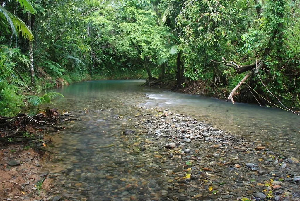 Heritage Lodge - In The Daintree-1