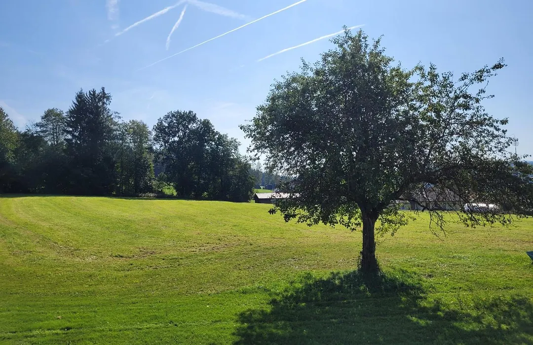 Pension Waldblick-1