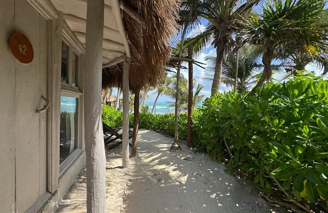 Art Village Tulum-1