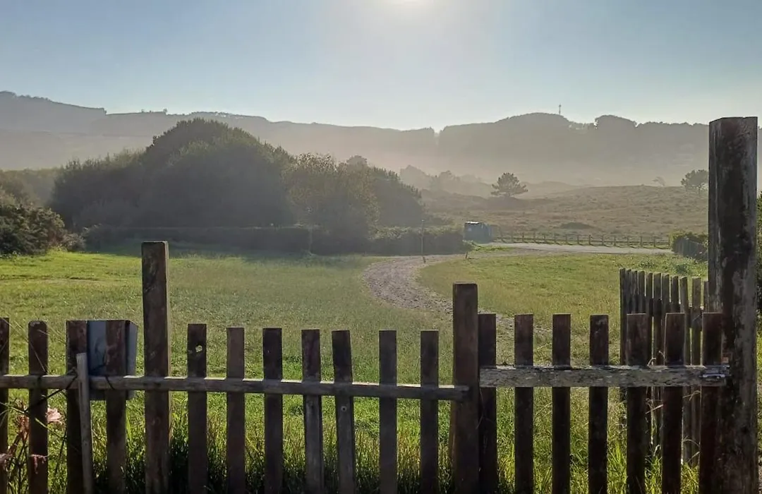 La Gallega-1