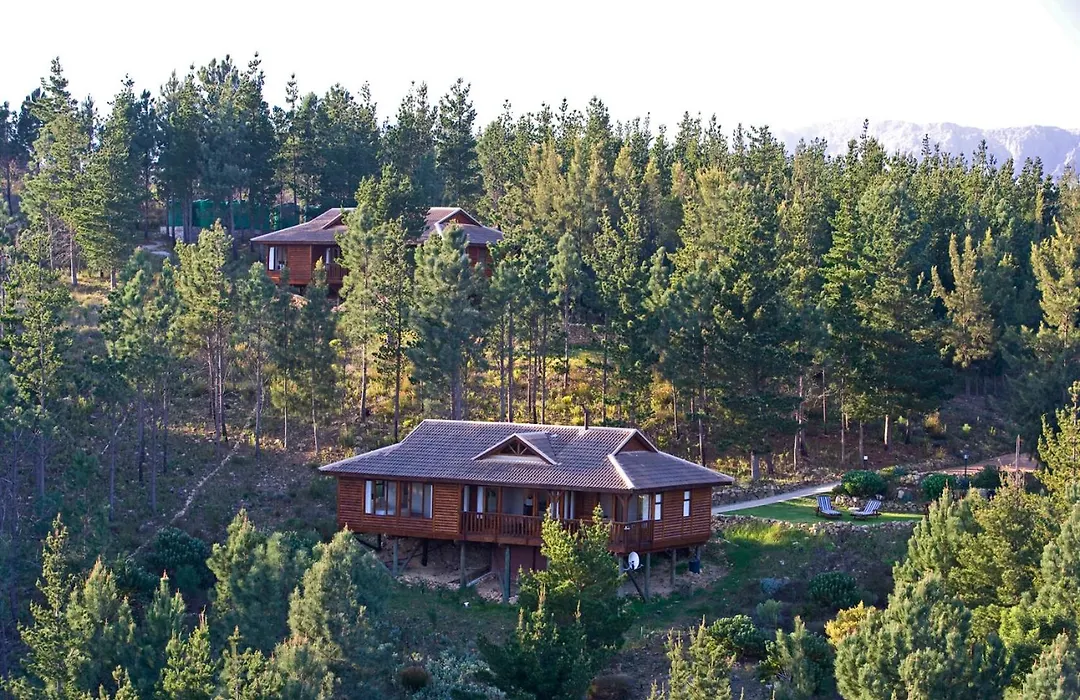Lalapanzi Lodge-1