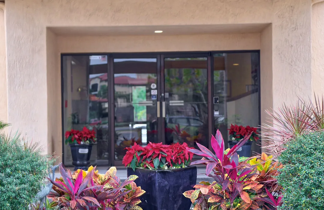 Destiny Palms Hotel Maingate West-1